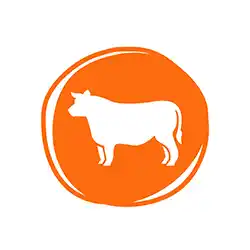 Made from Long-Lasting Beef Hide