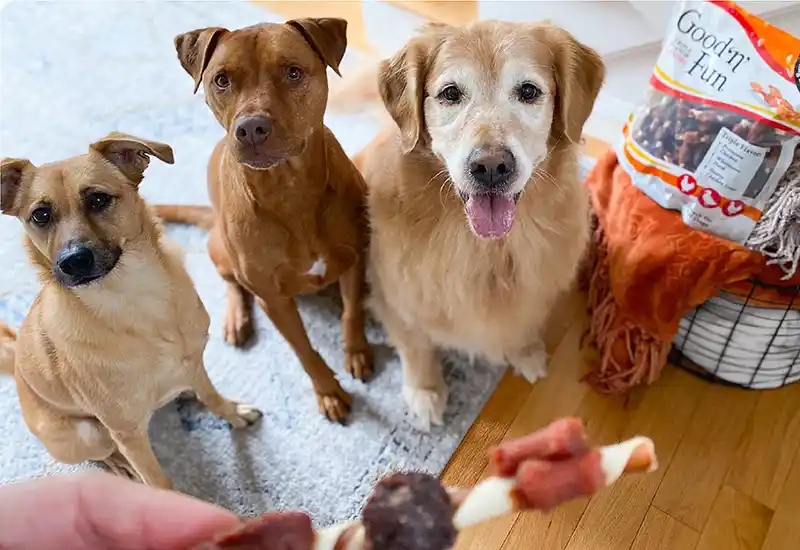 FAMILIAR & FRESH TRIPLE FLAVOR CHEWS