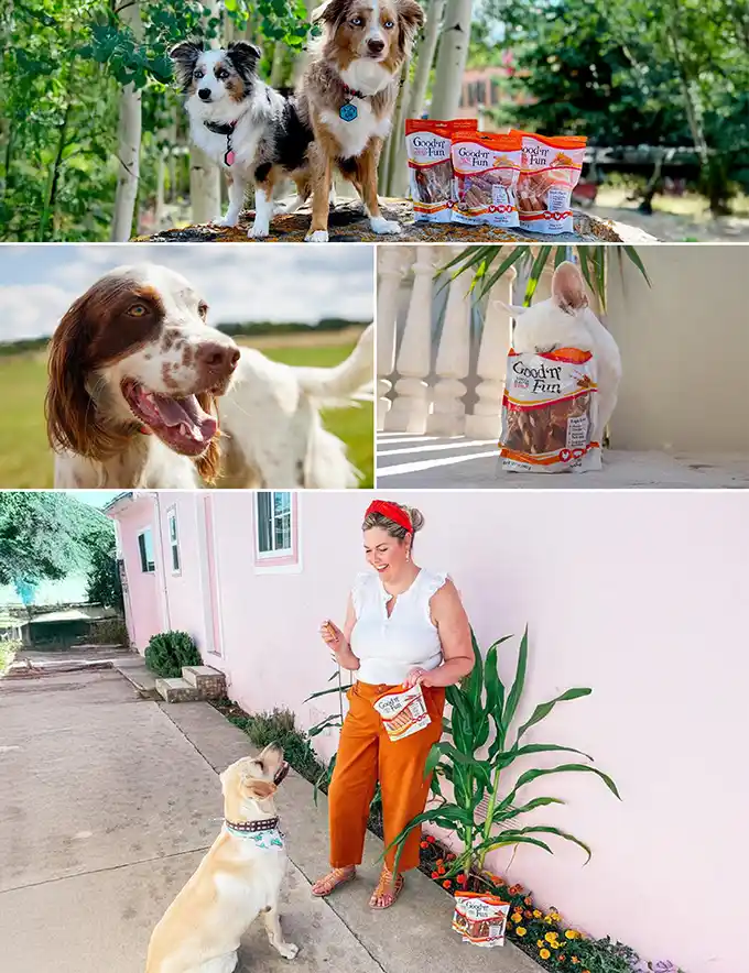 Several images of dogs and Good'n'Fun treats