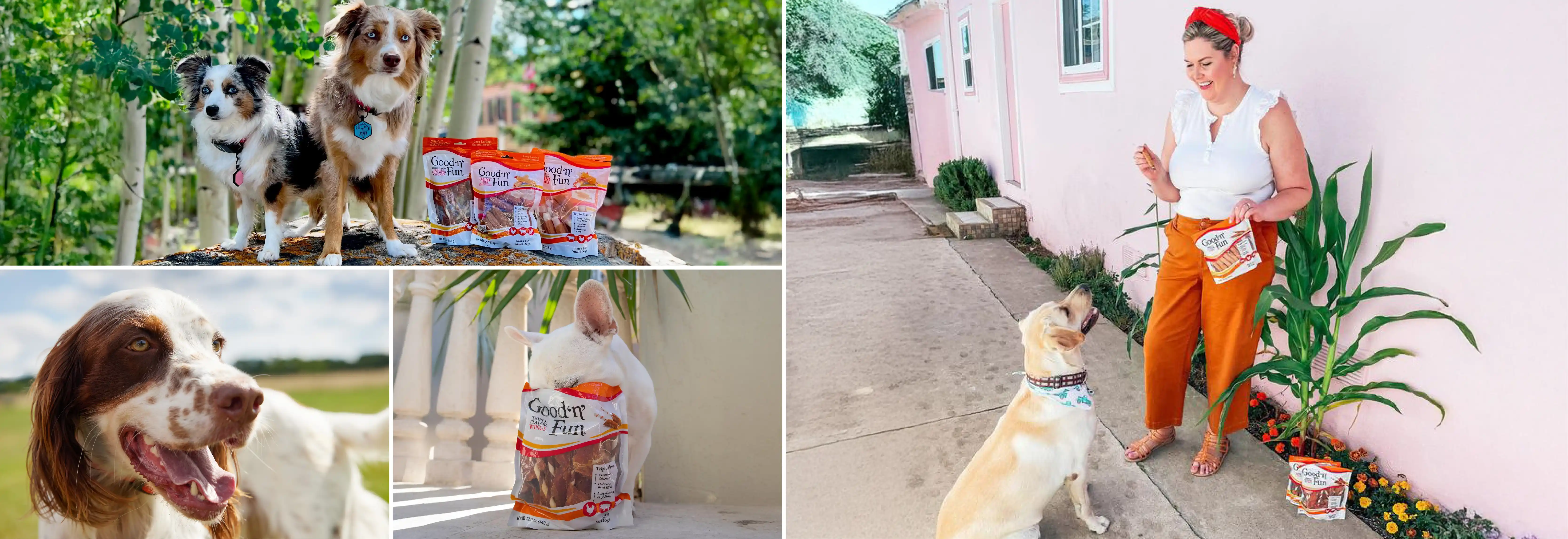 Several images of dogs and Good'n'Fun treats