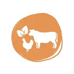 Orange circle with a catnip, chicken and beef icon
