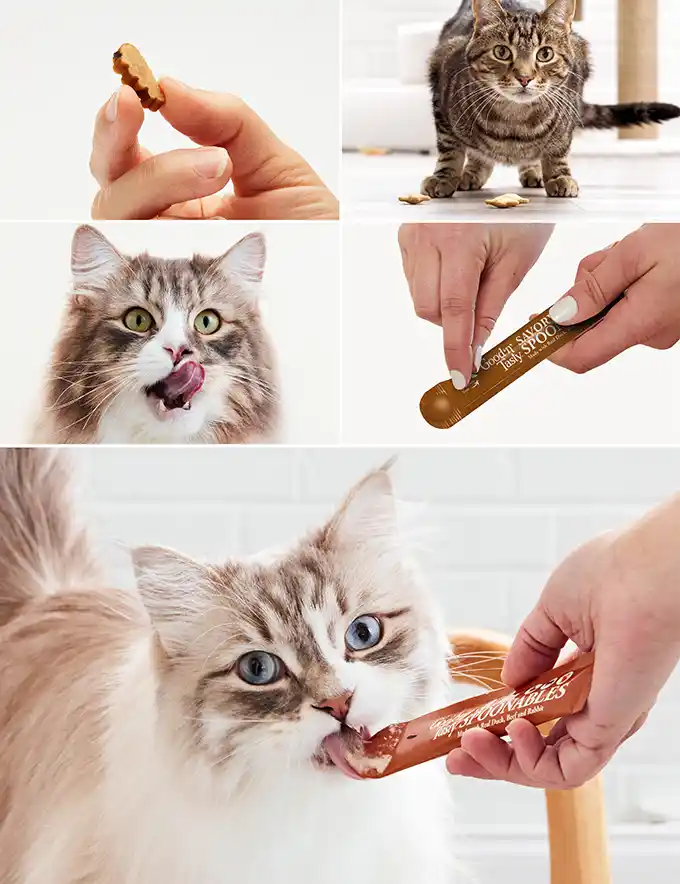 Several photos of cats eating or playing with Good'n'Tasty cat treats