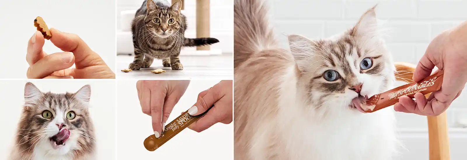 Several photos of cats eating or playing with Good'n'Tasty cat treats
