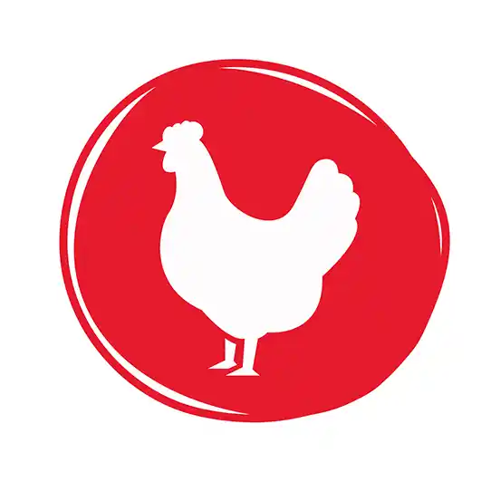 Good'n'Tasty Chicken