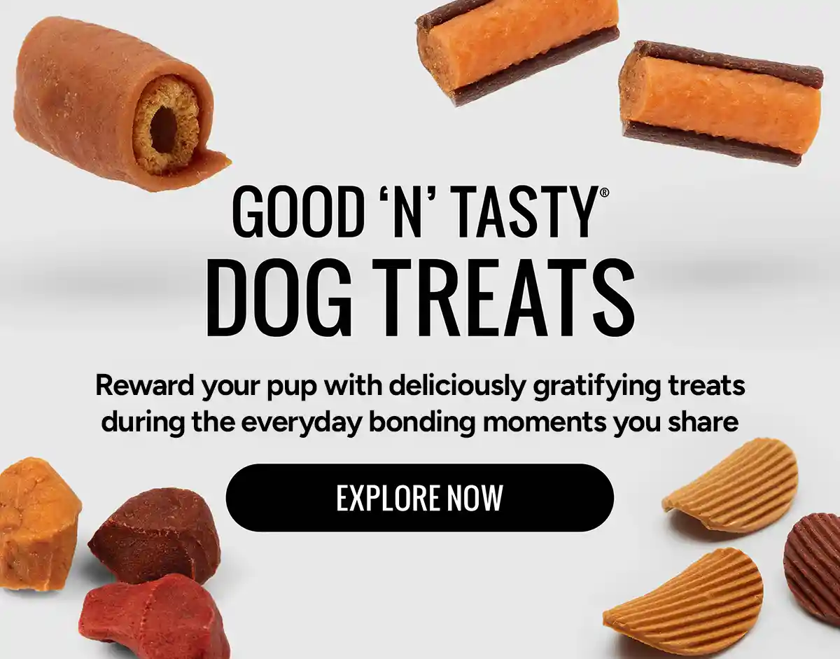 Good 'n' Tasty Dog Treats. Reward your pup with deliciously gratifying treats during the everyday bonding moments you share. Explore Now!