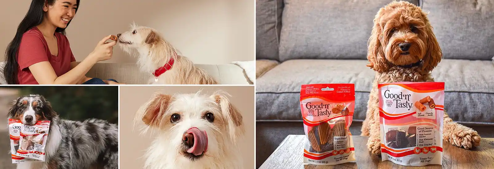 Several images of dogs eating Good'n'Tasty treats