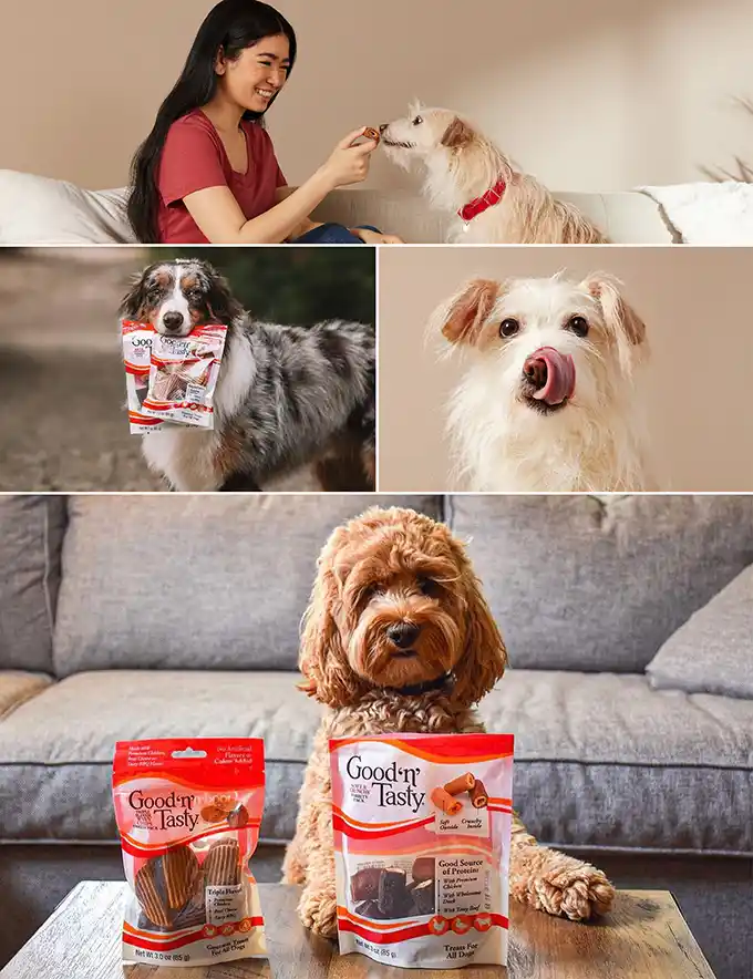 Several images of dogs eating Good'n'Tasty treats
