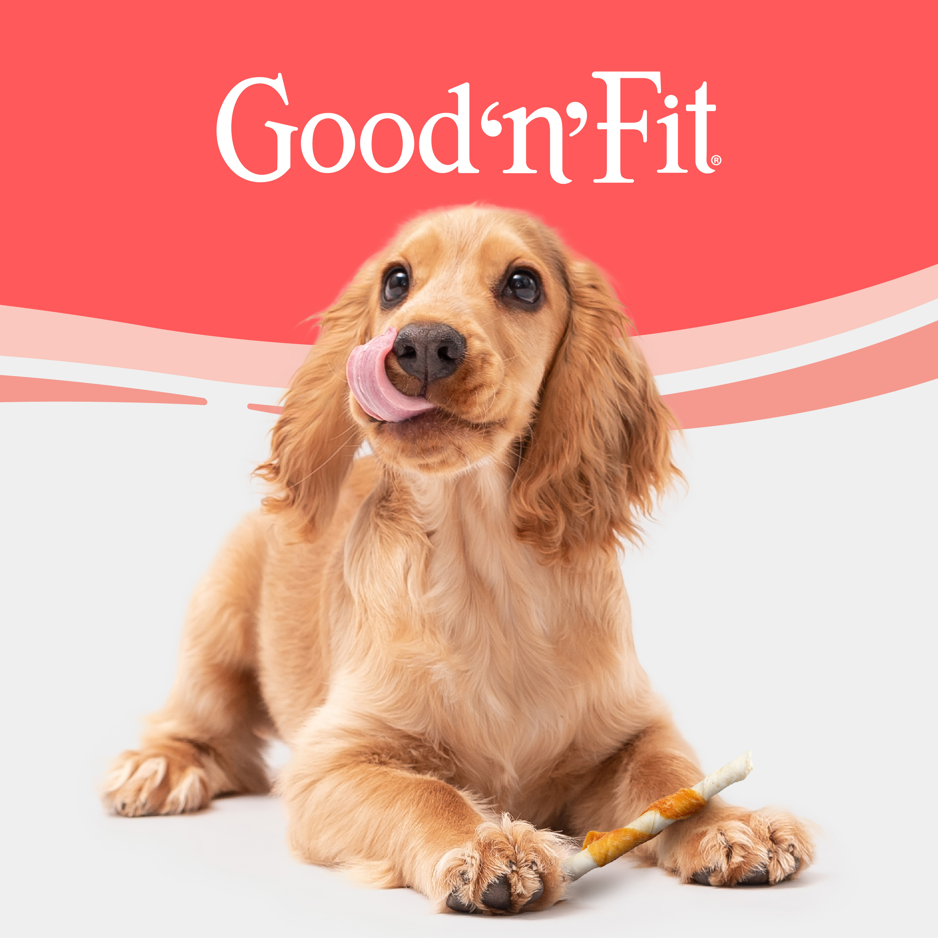 Good N Fit