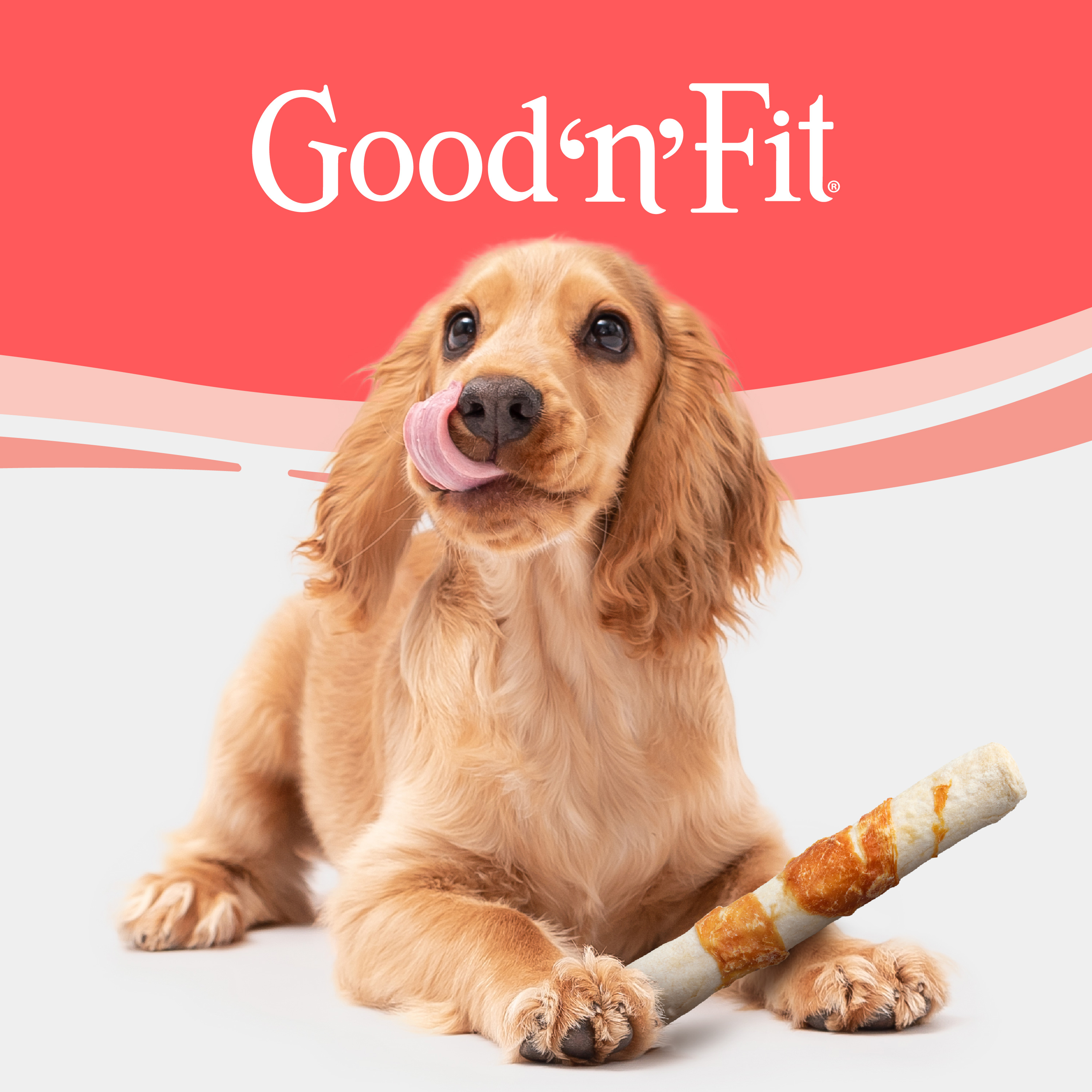 Good N Fit