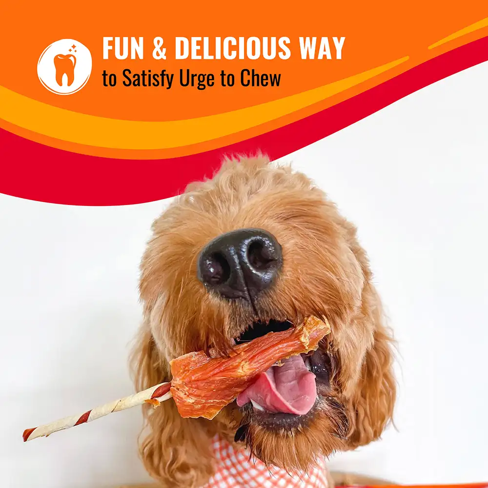 Fun and delicious way to satisfy your dog's urge to chew
