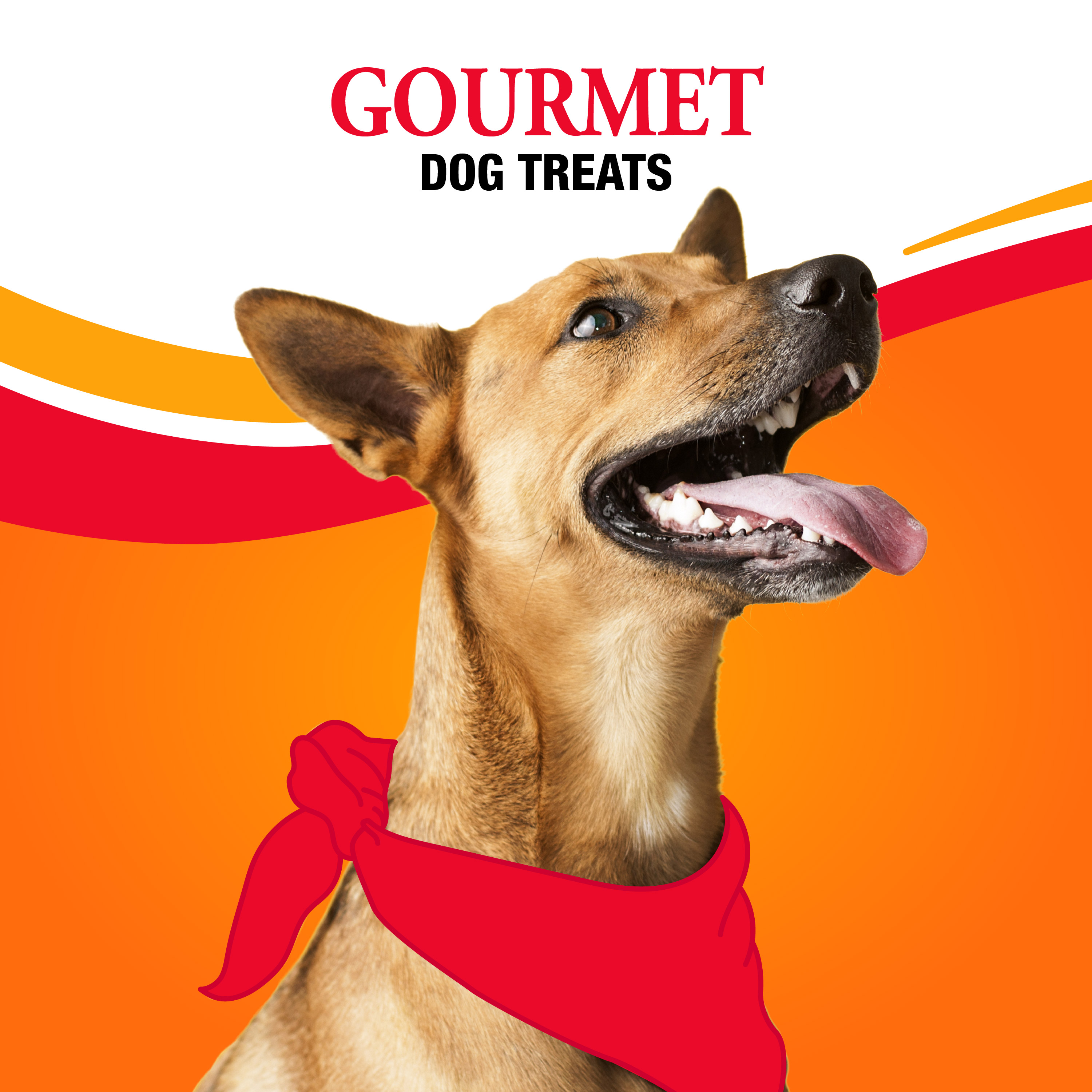 P-94578 Triple Flavor Bones 6 ct - Gourmet Dog Treats