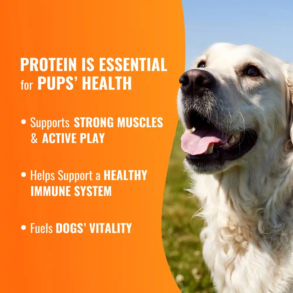 Protein is essential for pups' health. Supports strong muscles and active play. Helps support a healthy immune system. Fuels dogs' vitality.