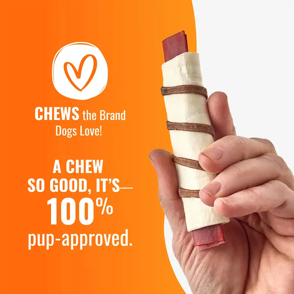 Chews the brand dogs love. A chew so good, it's 100% pup-approved.