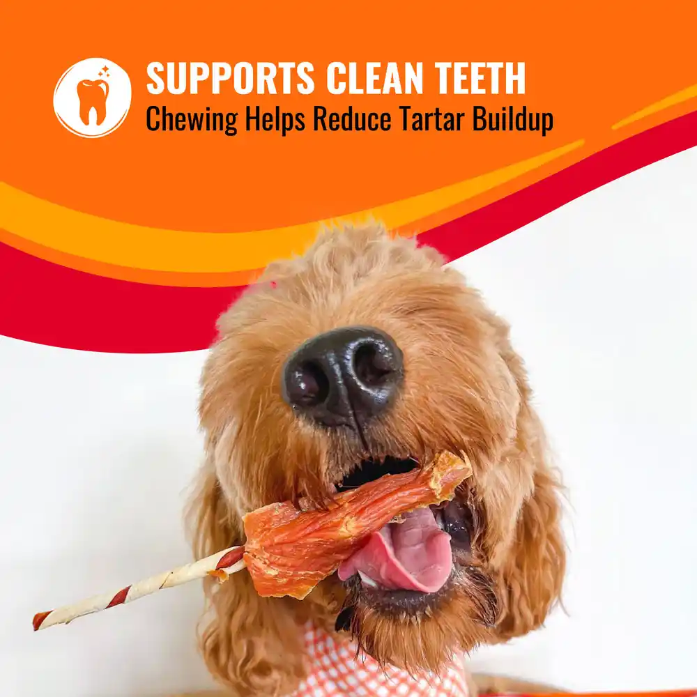 Supports clean teeth. Chewing helps reduce tartar buildup.