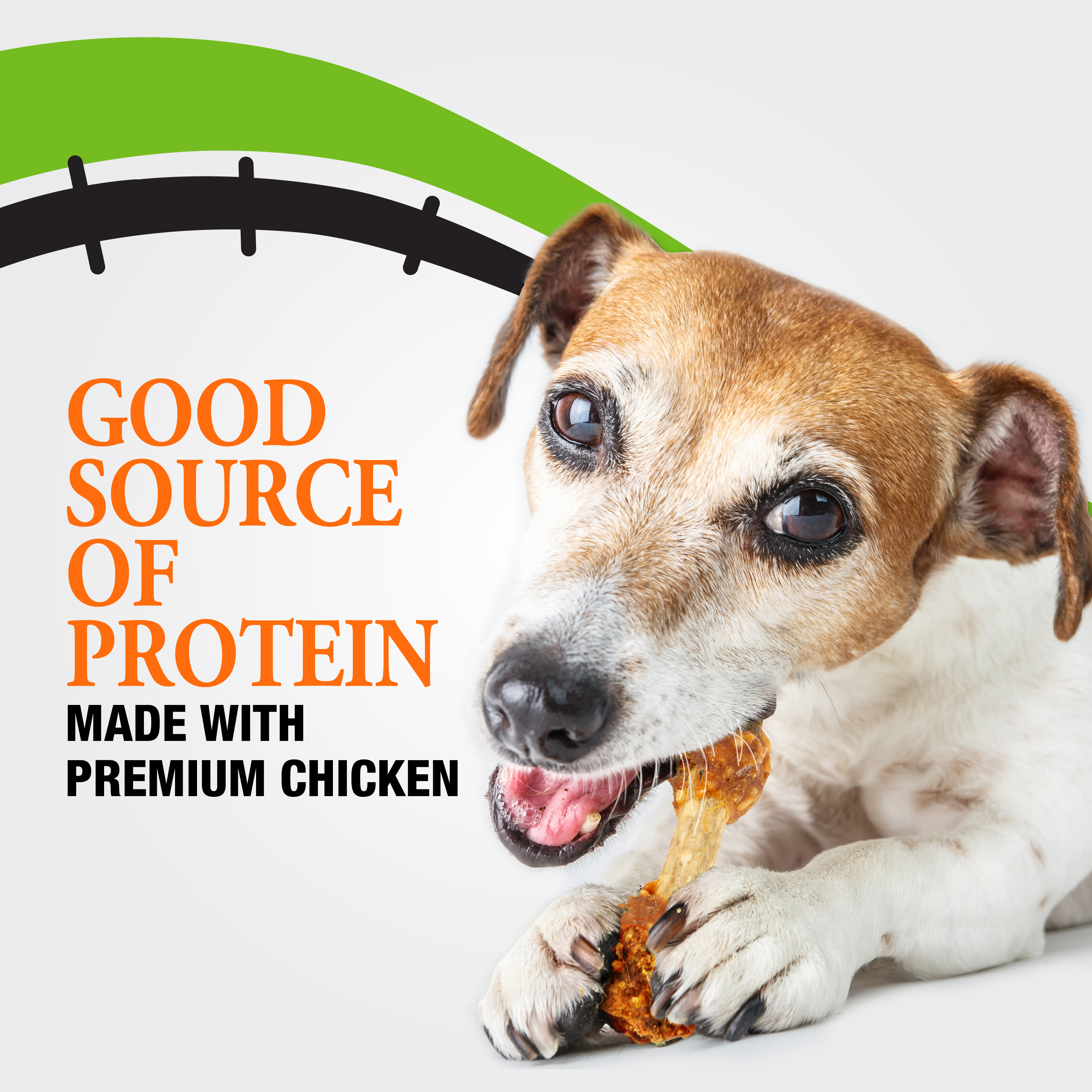 Good Source of Protein