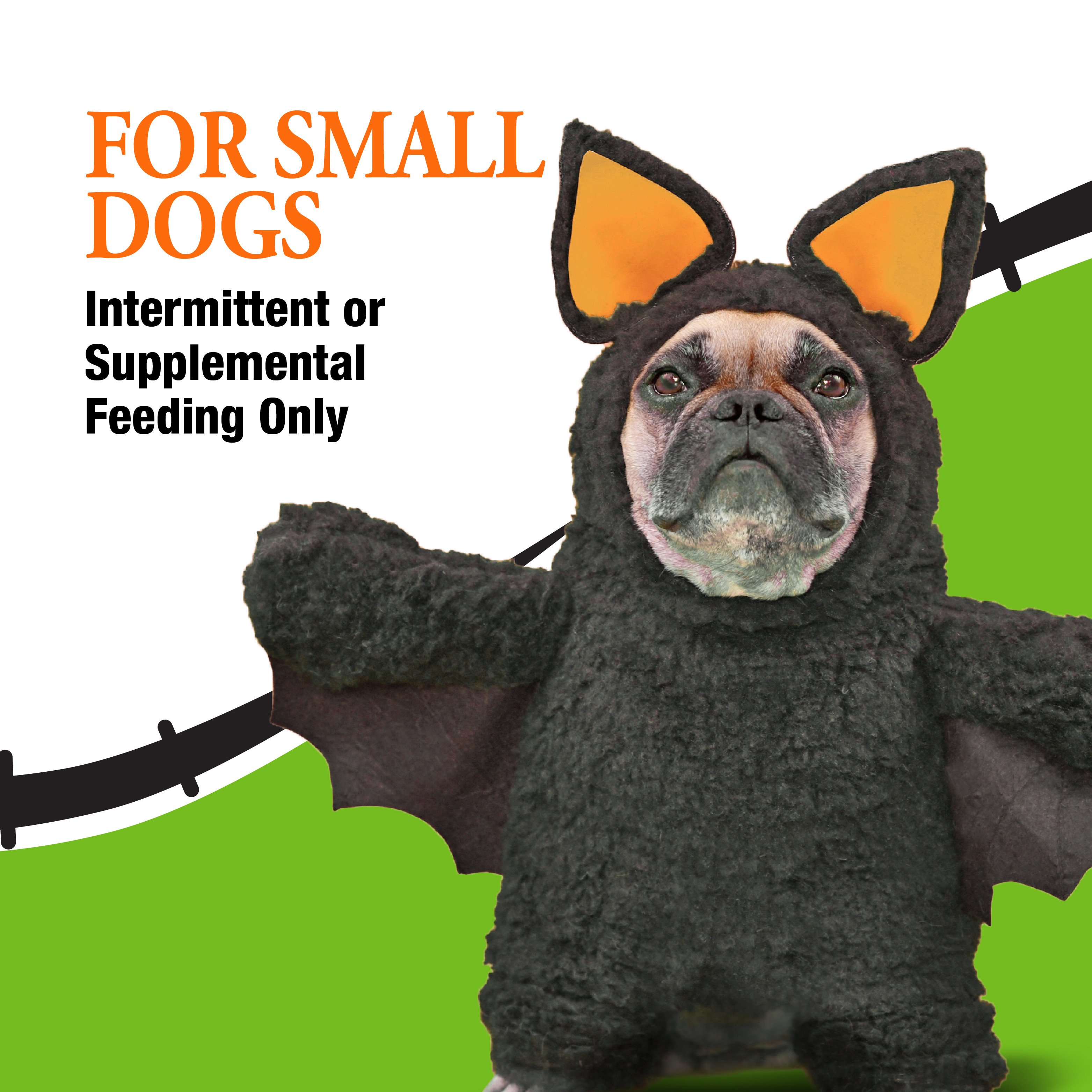 Good for Small Dogs