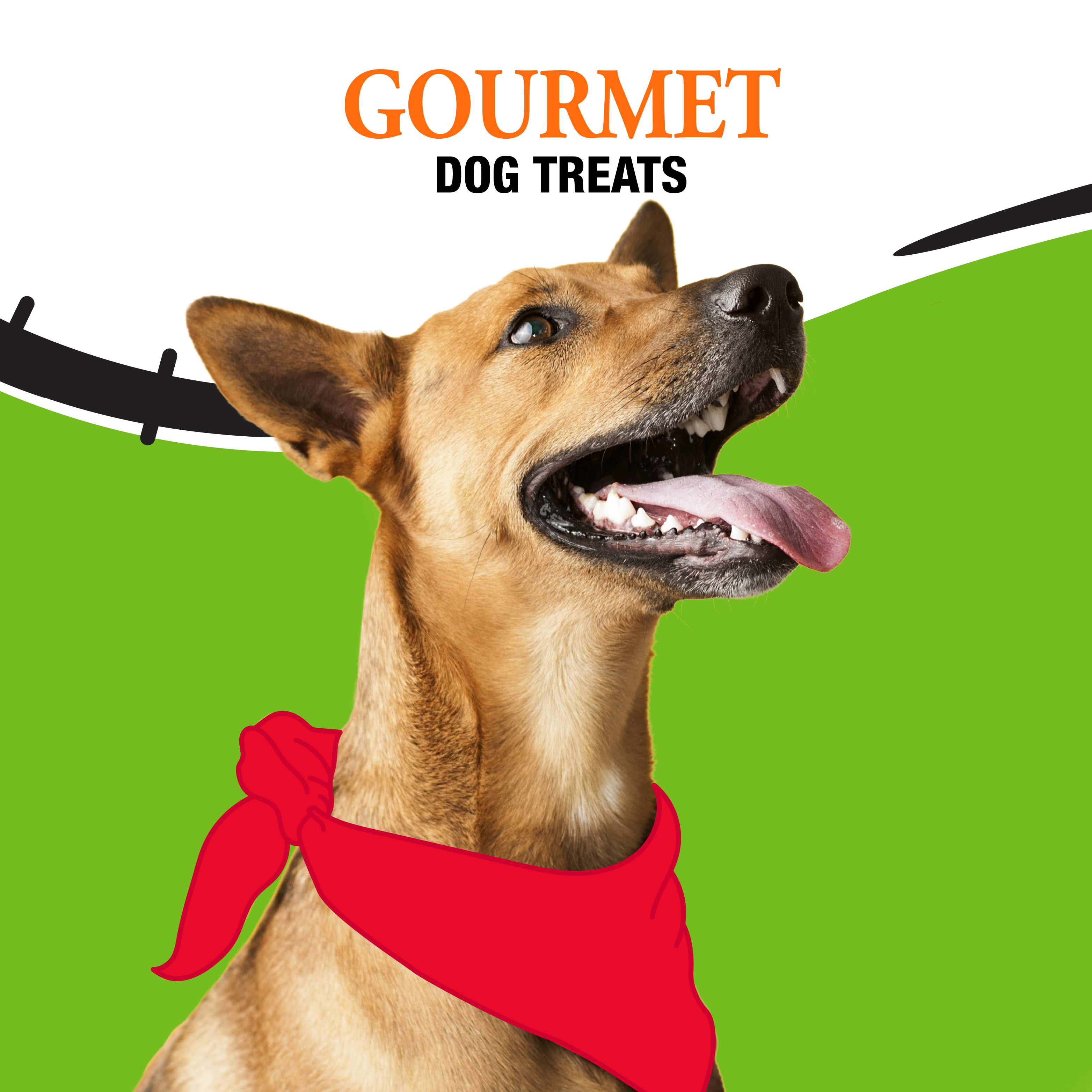 Gourmet Dog Treats