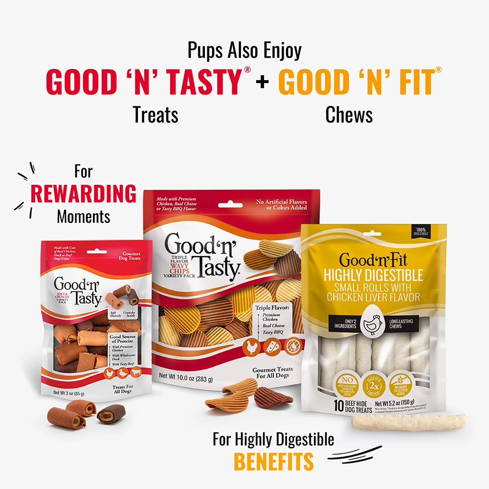 P-94481H Good ‘n’ Fun Triple Flavor Canes With Bacon & Artificial Maple Flavor Chews for All Dogs, 3 Count - Also Try GNT & GNFit