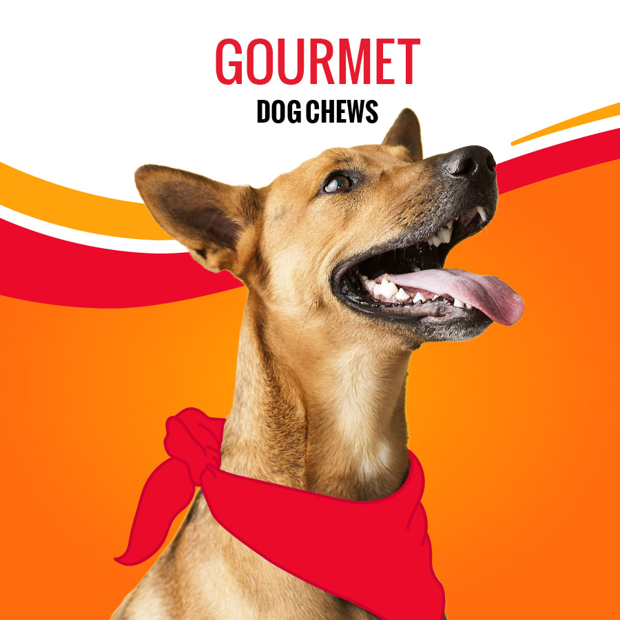 Gourmet Dog Treats