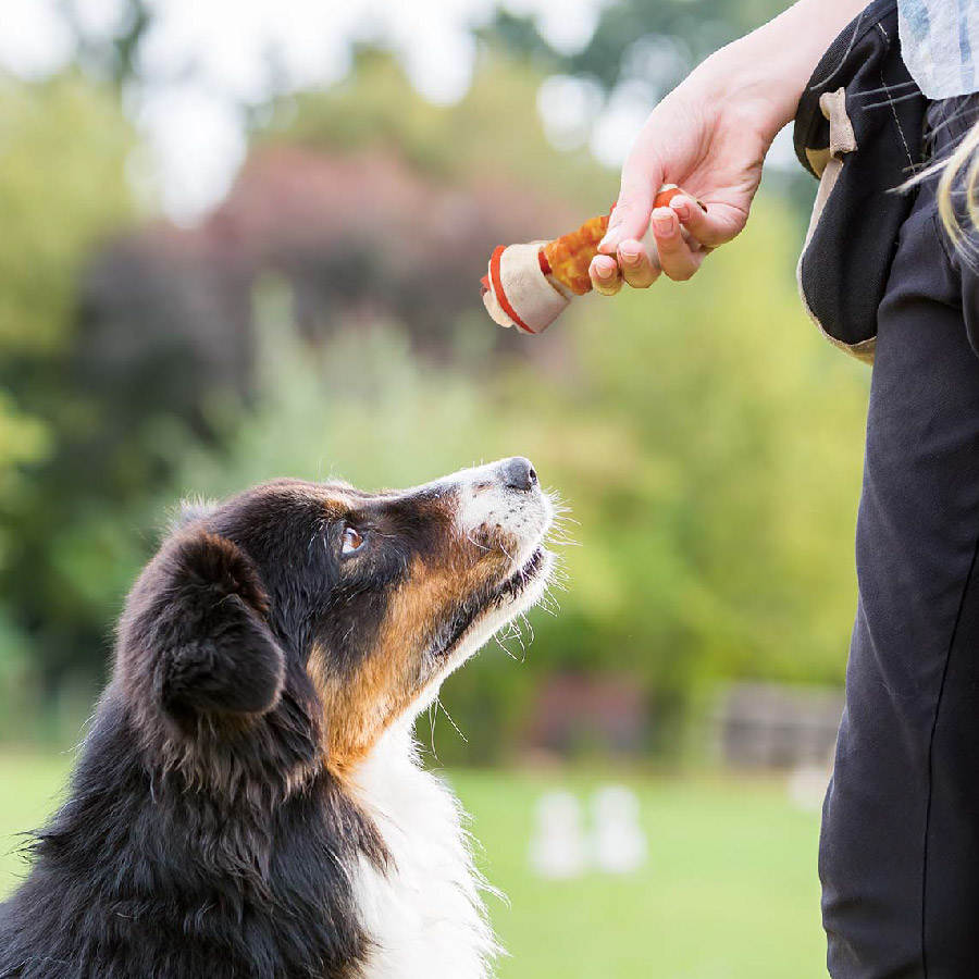 Triple Flavor Dog Chews