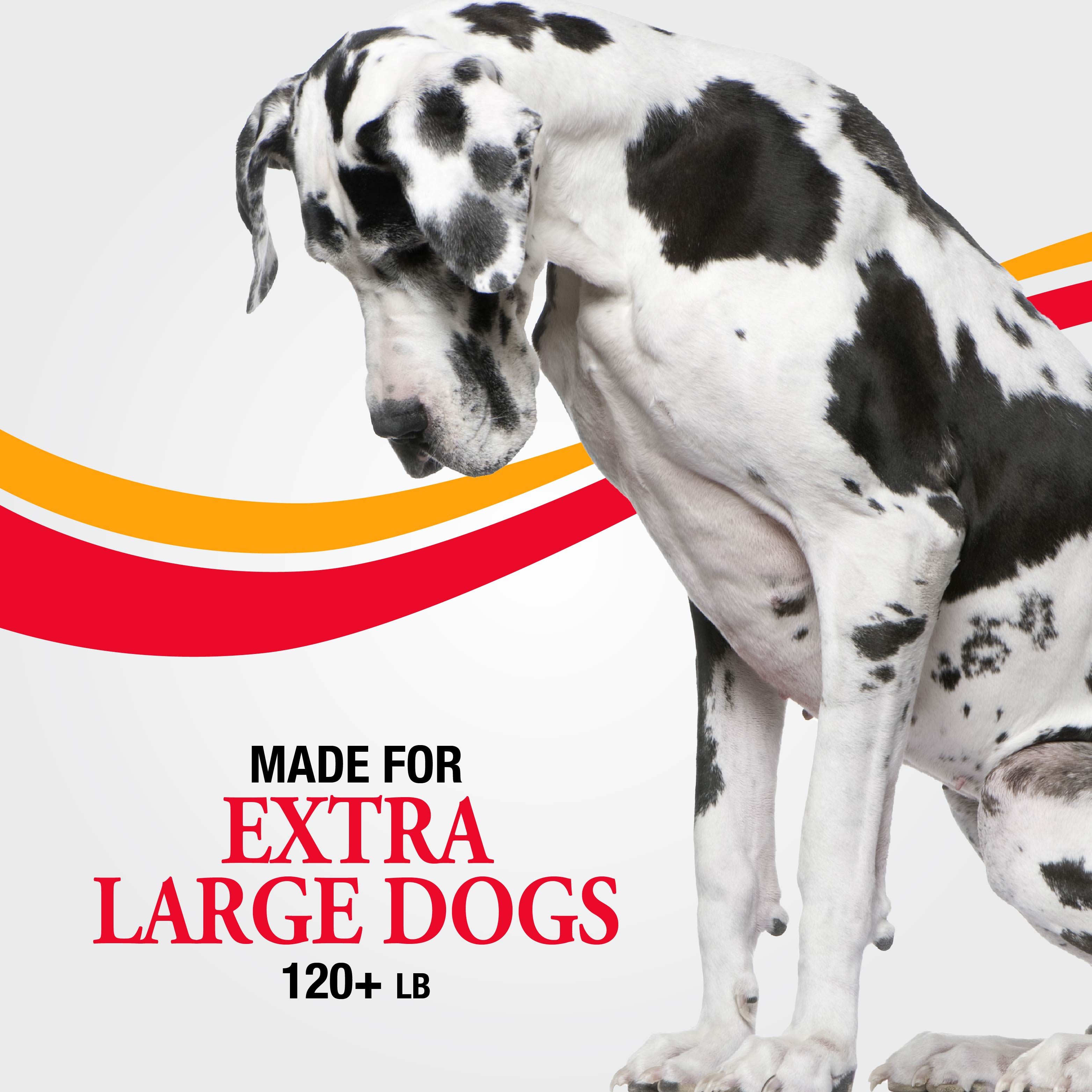 Made for Extra Large Dogs