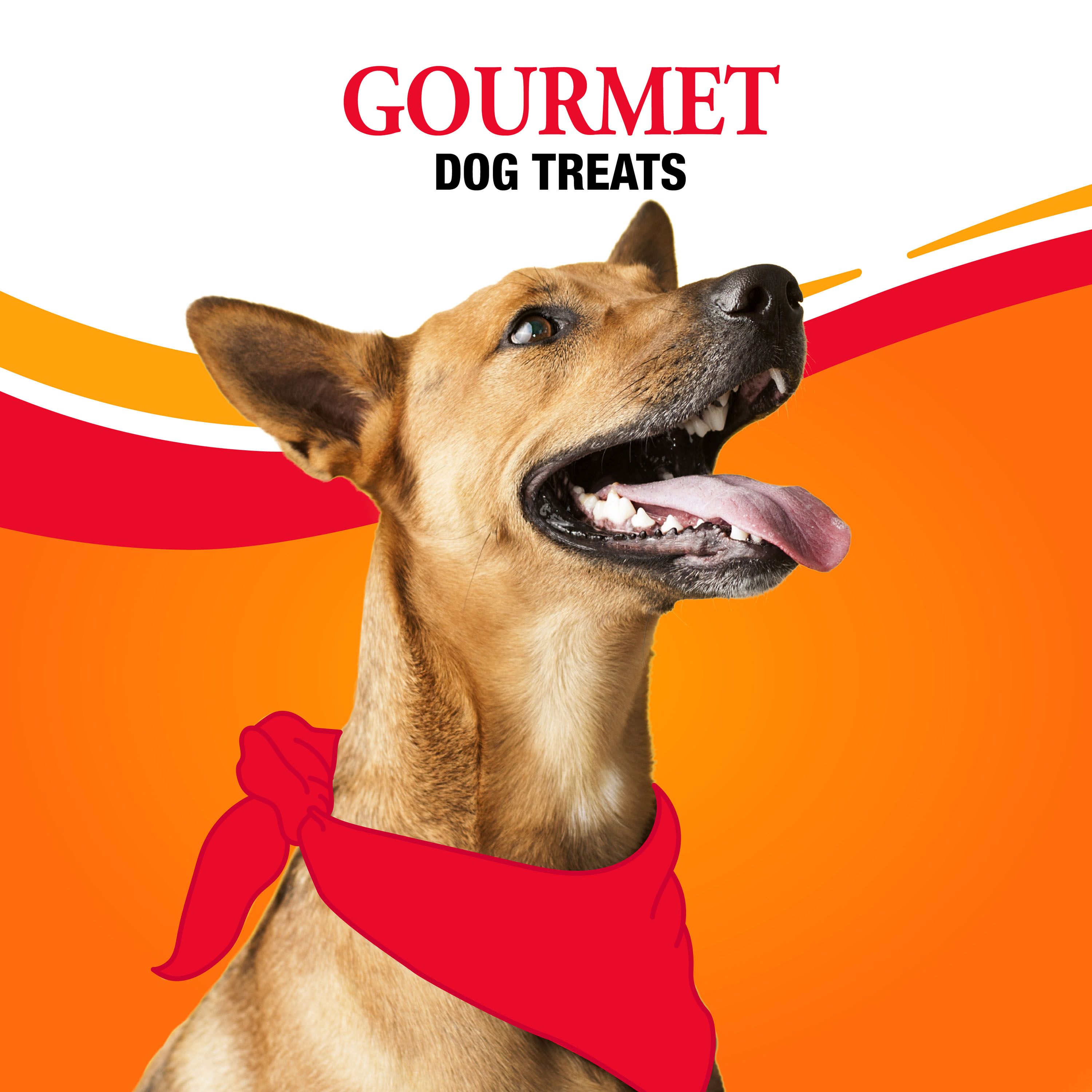 Gourmet Dog Treats