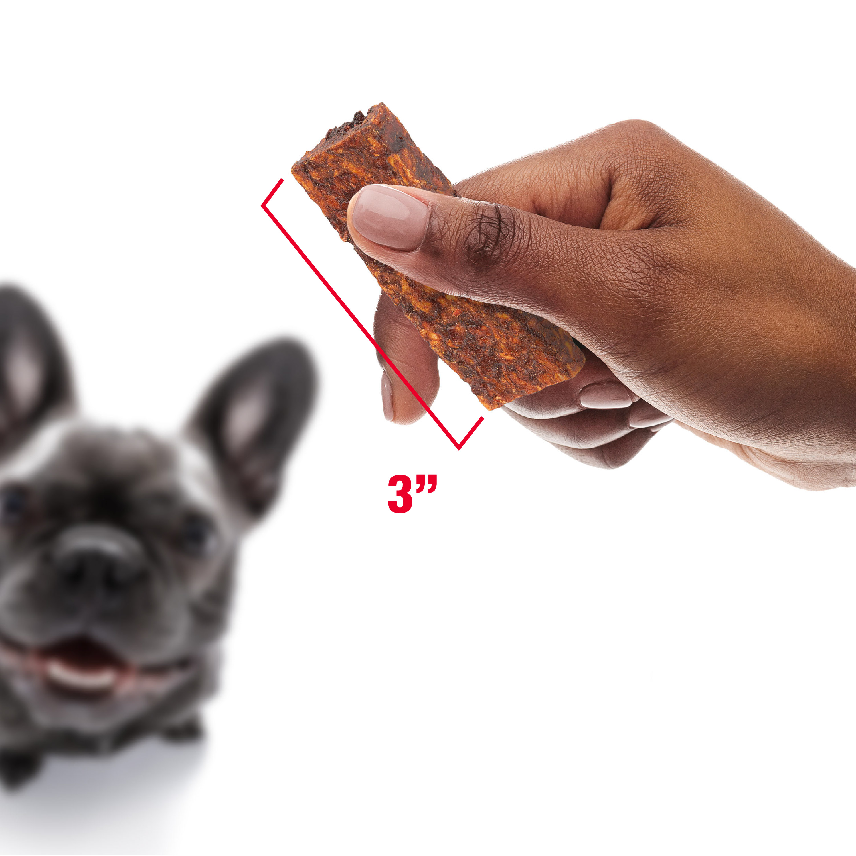 Triple Flavor Crunchy Ribs - Holiday Plush Jar Sizing