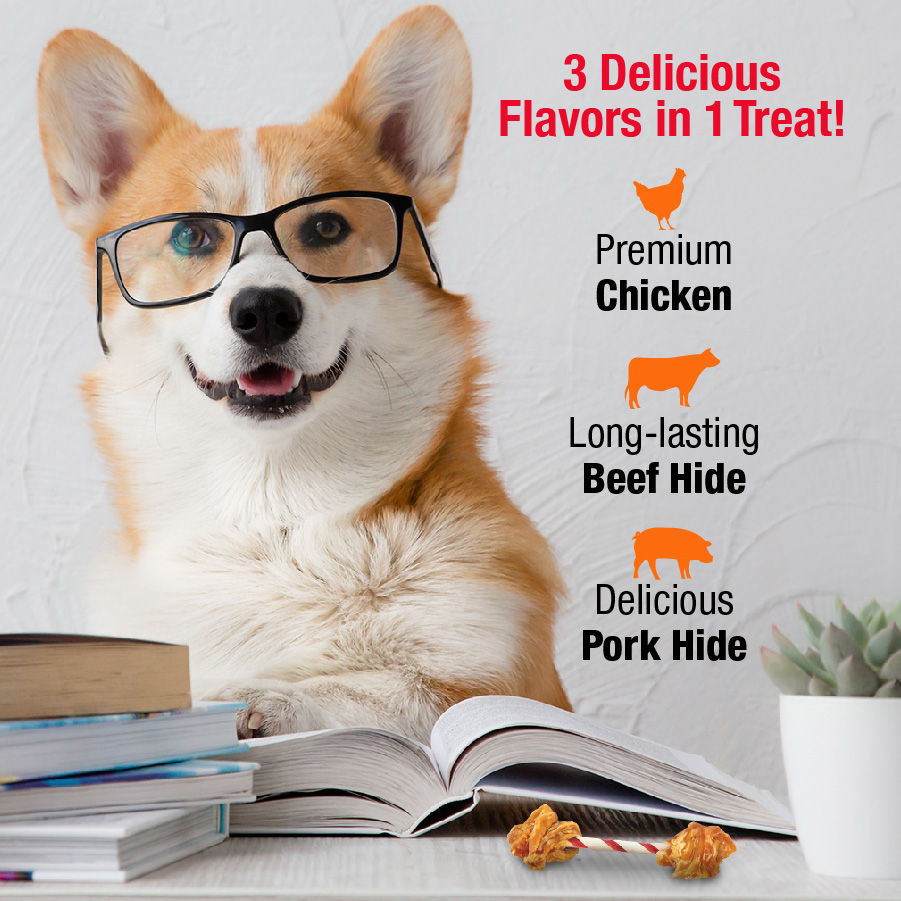 Triple Flavor Double Pops with Chicken Flavors