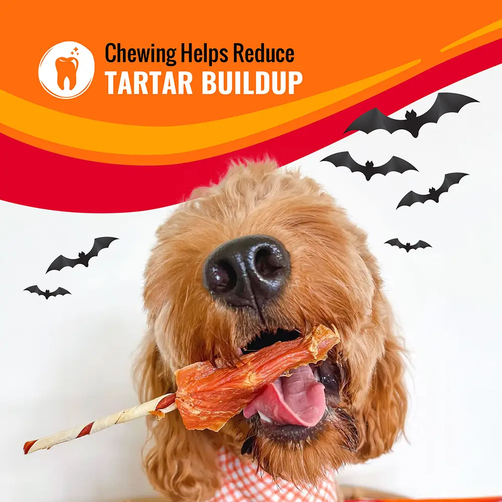 Chewing Helps Reduce TARTAR BUILDUP