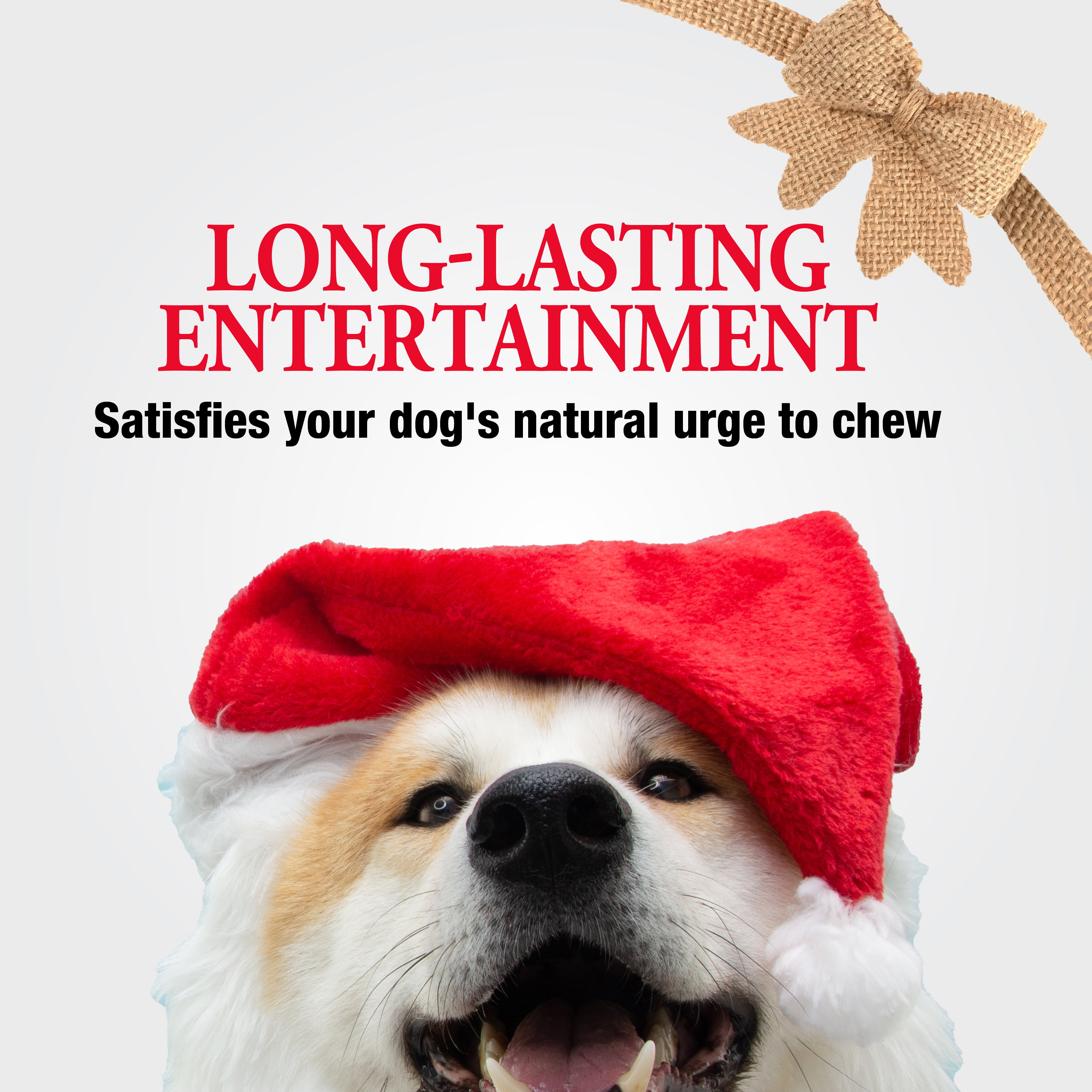 Long Lasting Entertainment