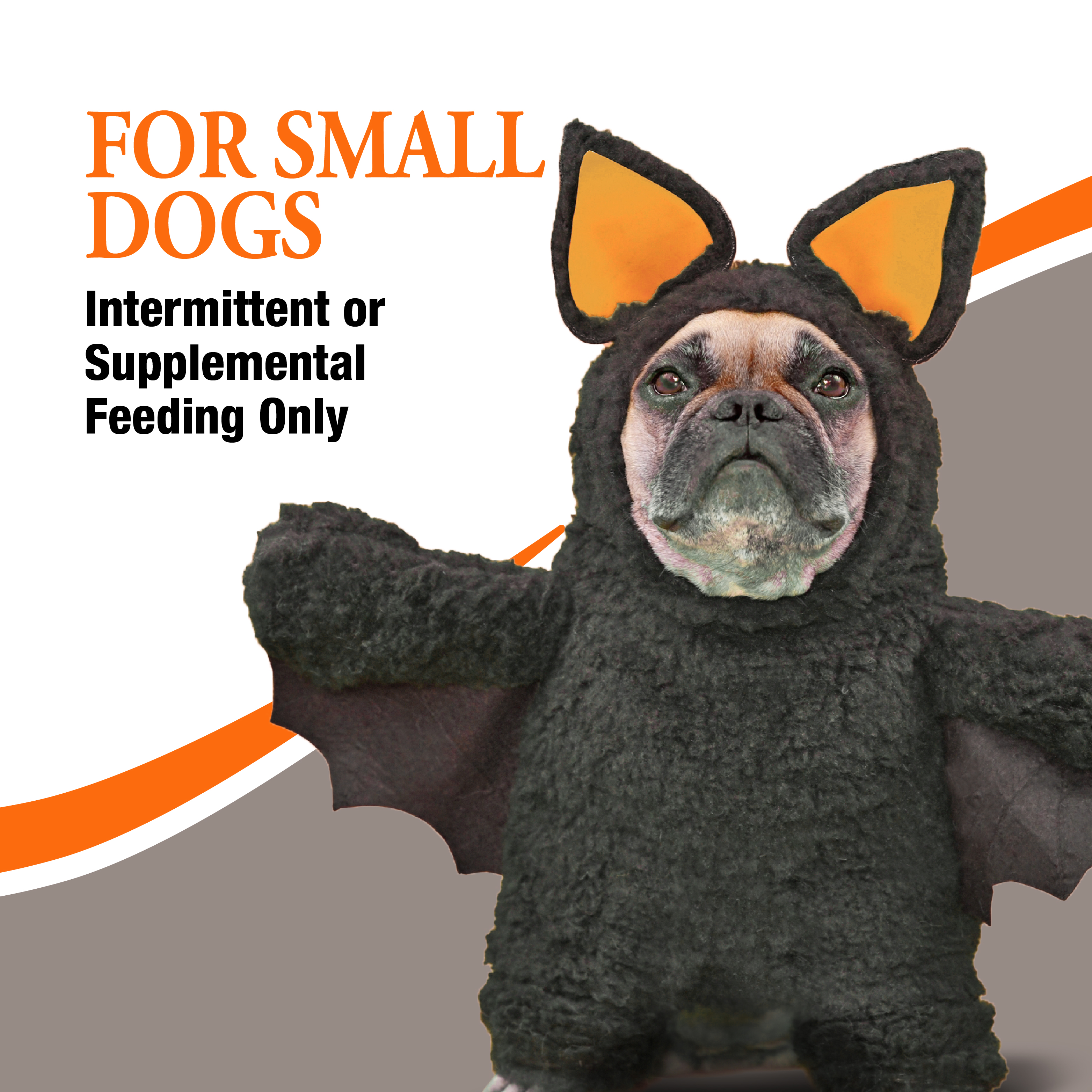 For Small Dogs