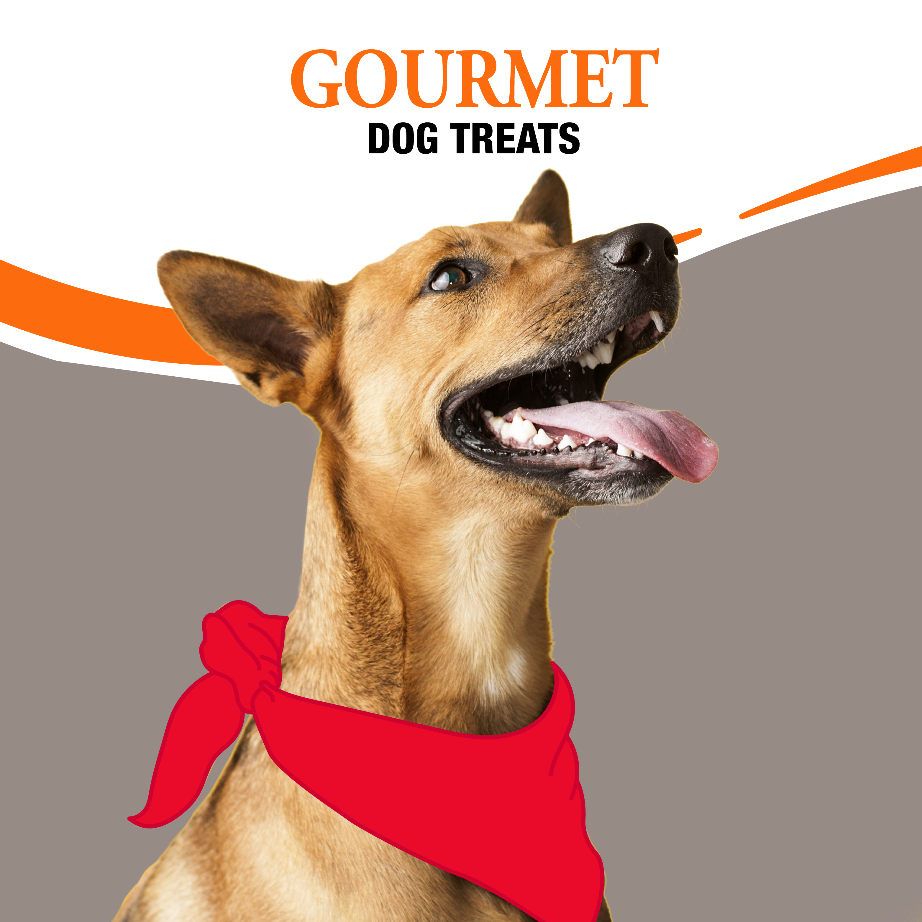 Gourmet Dog Treats