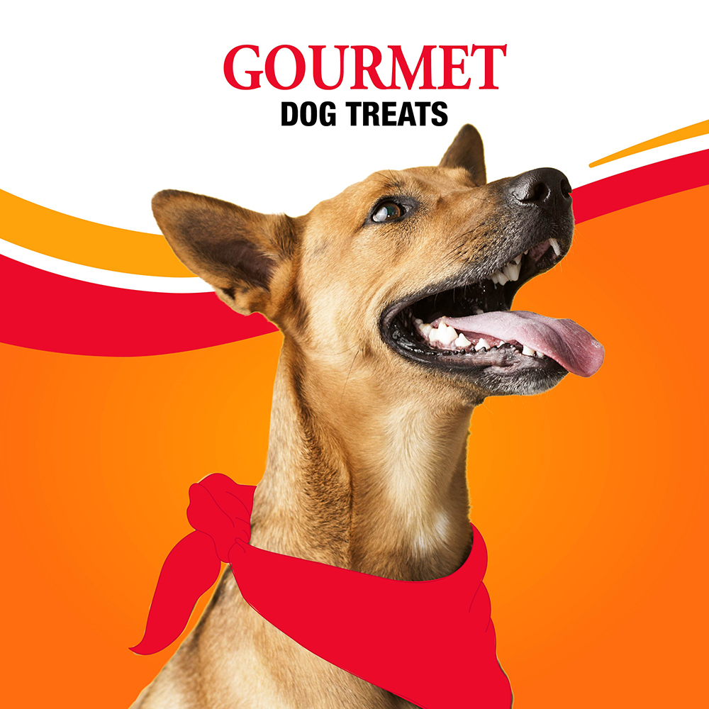 Gourmet Dog Treats