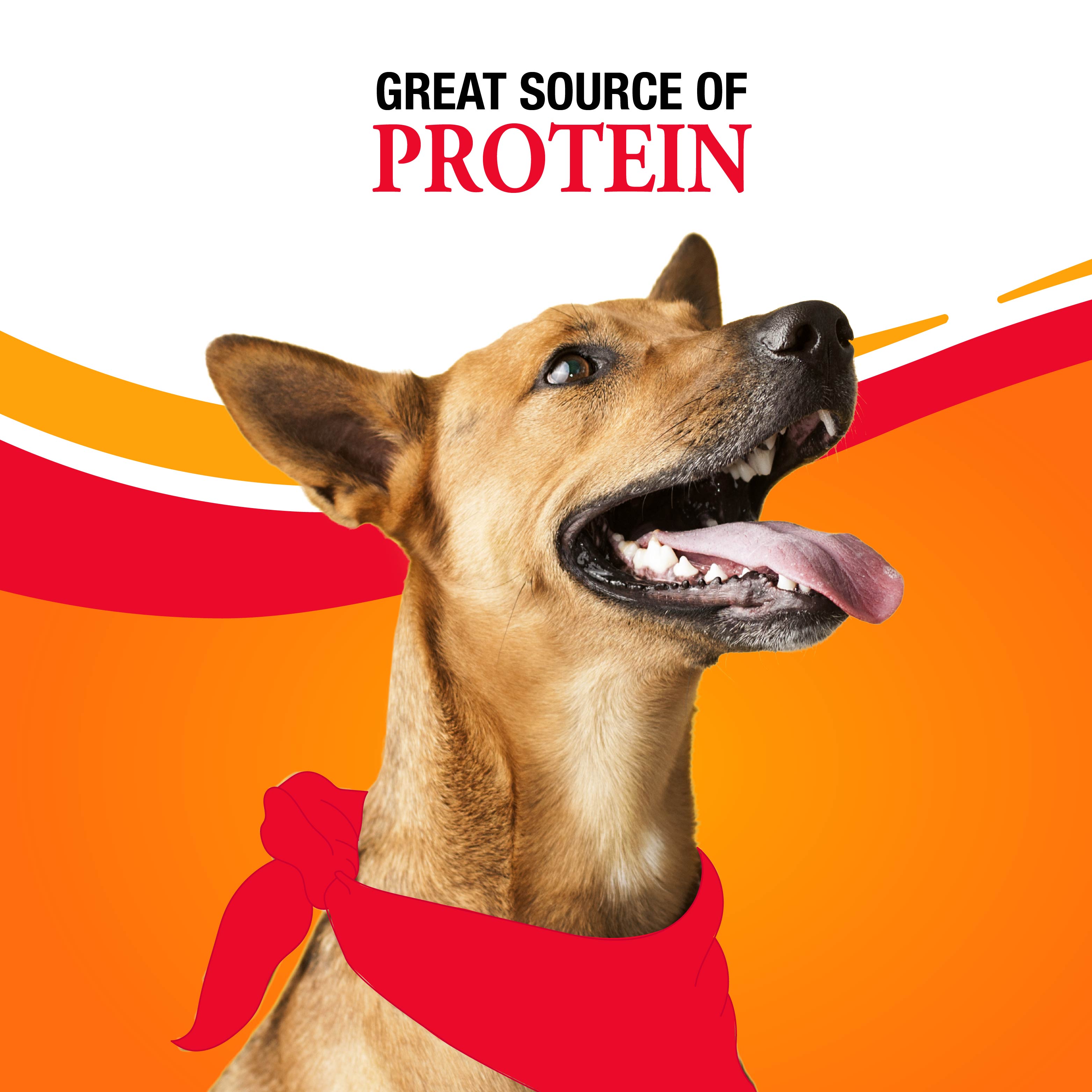 Great source of protein