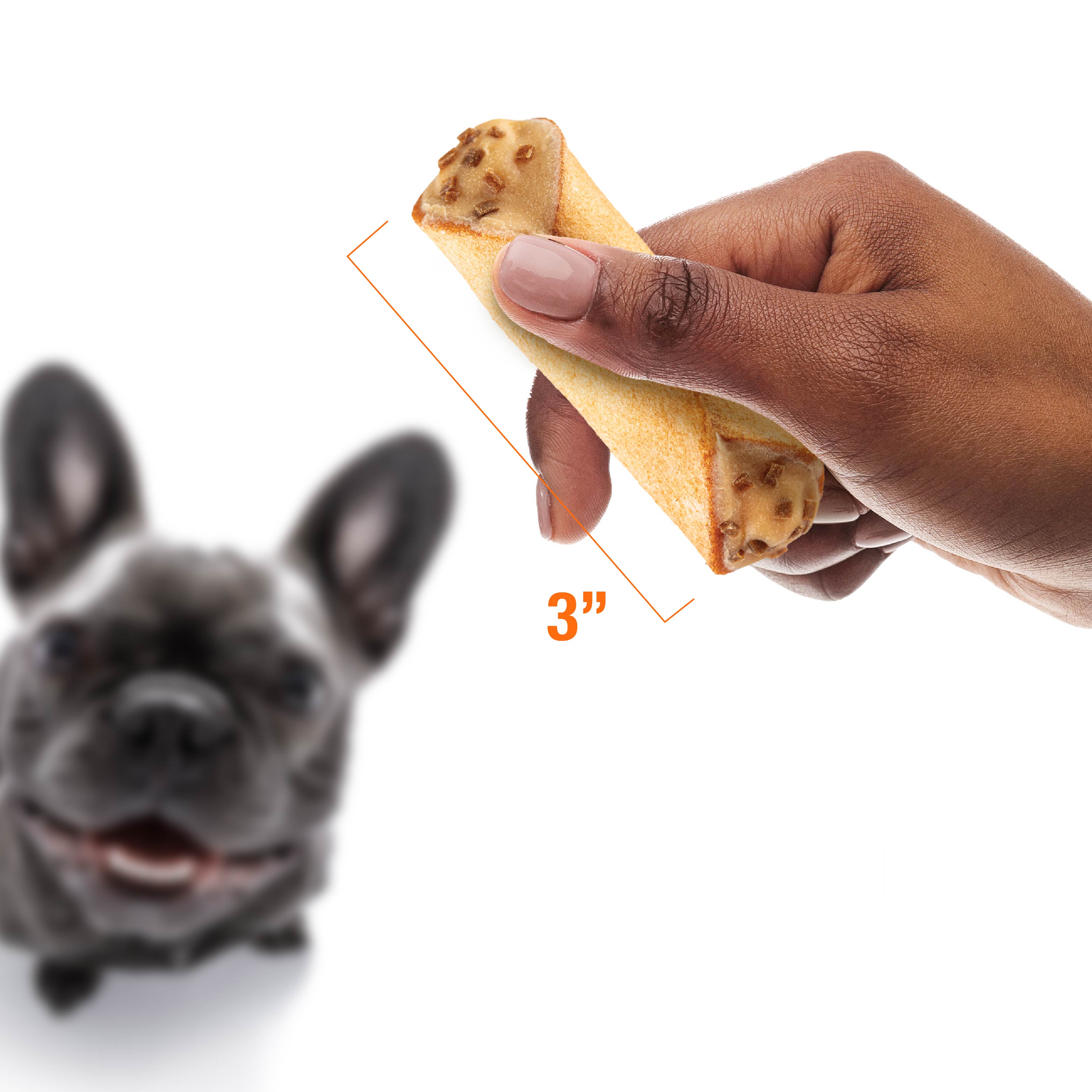 Woman holding the tree inch treat above a black dog