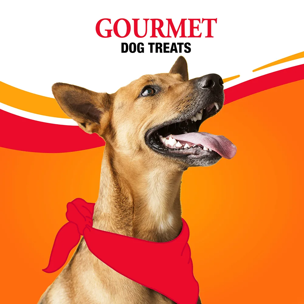 Gourmet dog treats