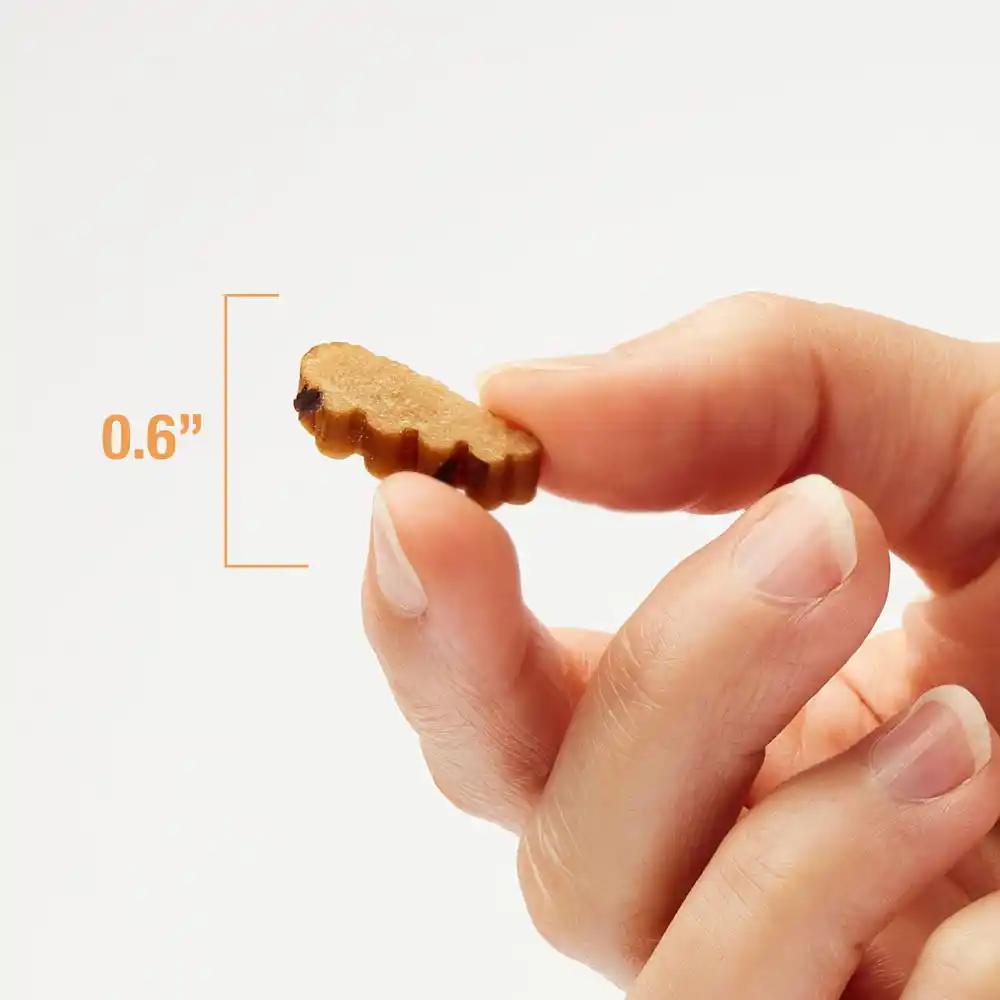 Image of caucasian hand holding the treat to show it is .6 inches long. 