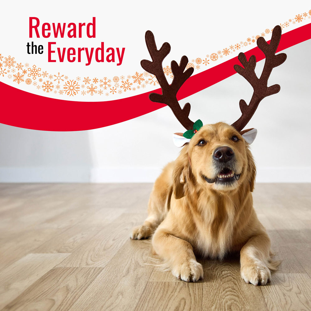 Reward the Everyday, with image of dog in antlers