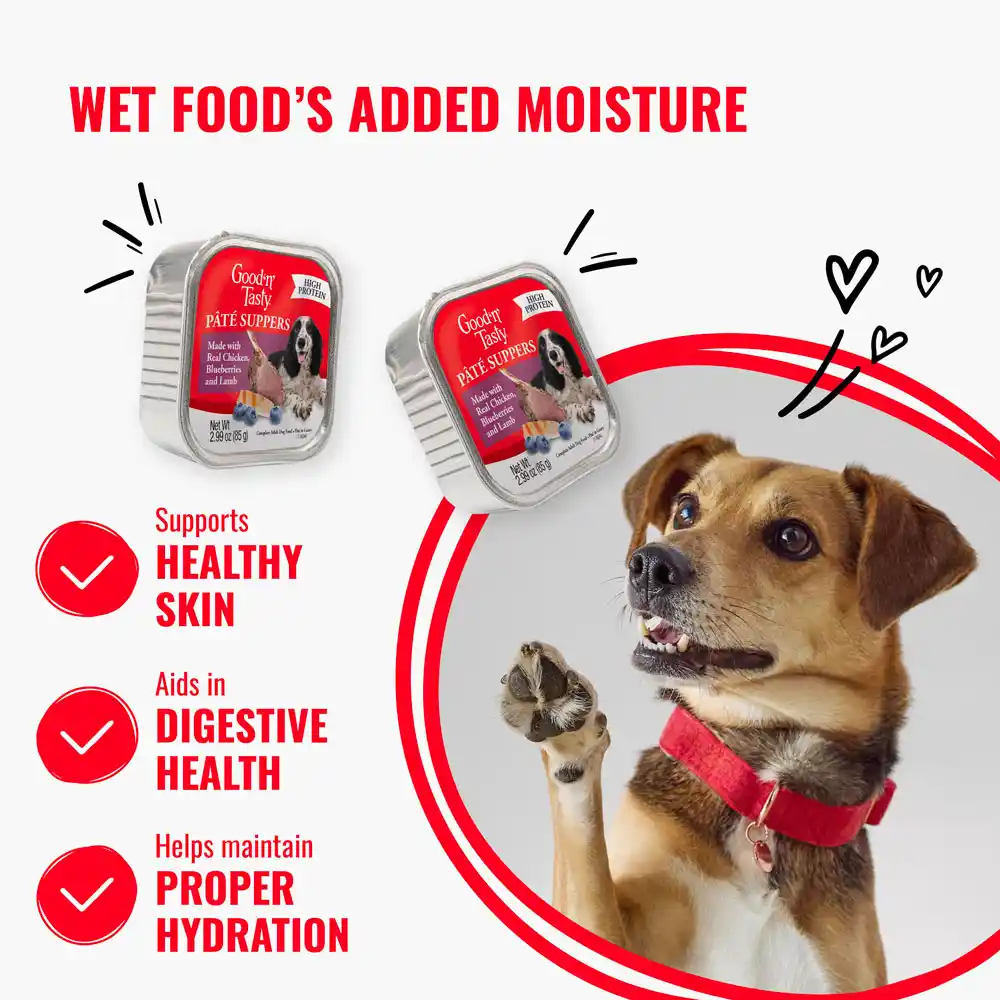Wet food's added moisture: supports healthy skin, aids in digestive health and helps maintain proper hydration. 