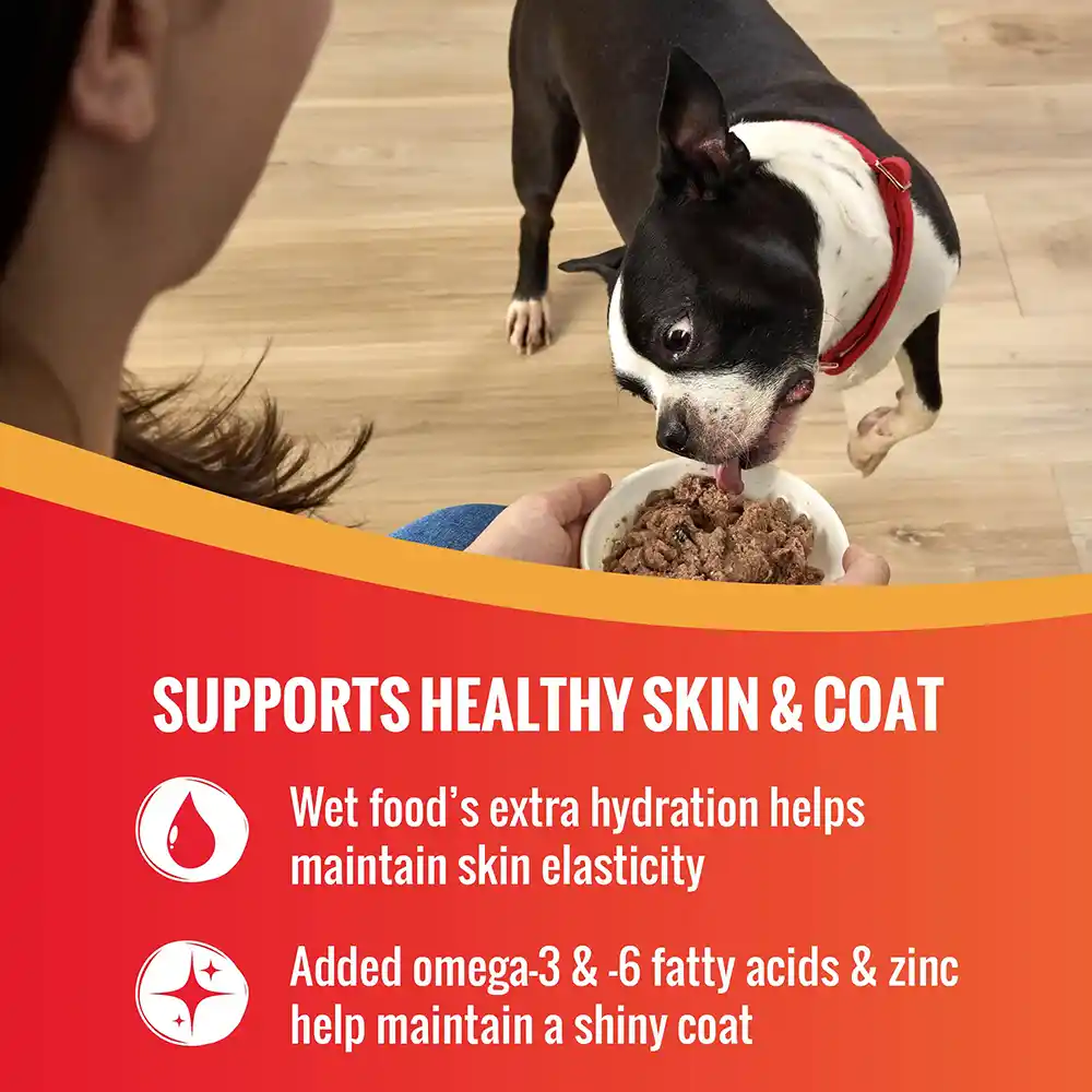 Supports Healthy skin & Coat. Wet food’s extra hydration helps maintain skin elasticity. Added omega-3 & -6 fatty acids and zinc help maintain a shiny coat. 