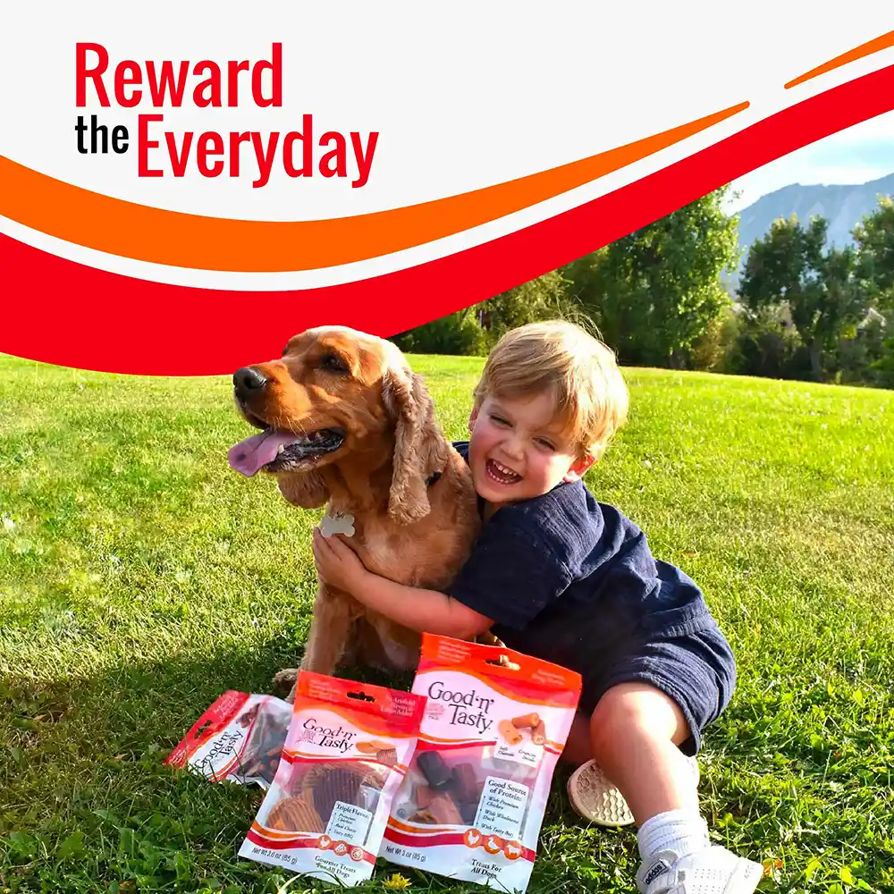 Reward the Everyday