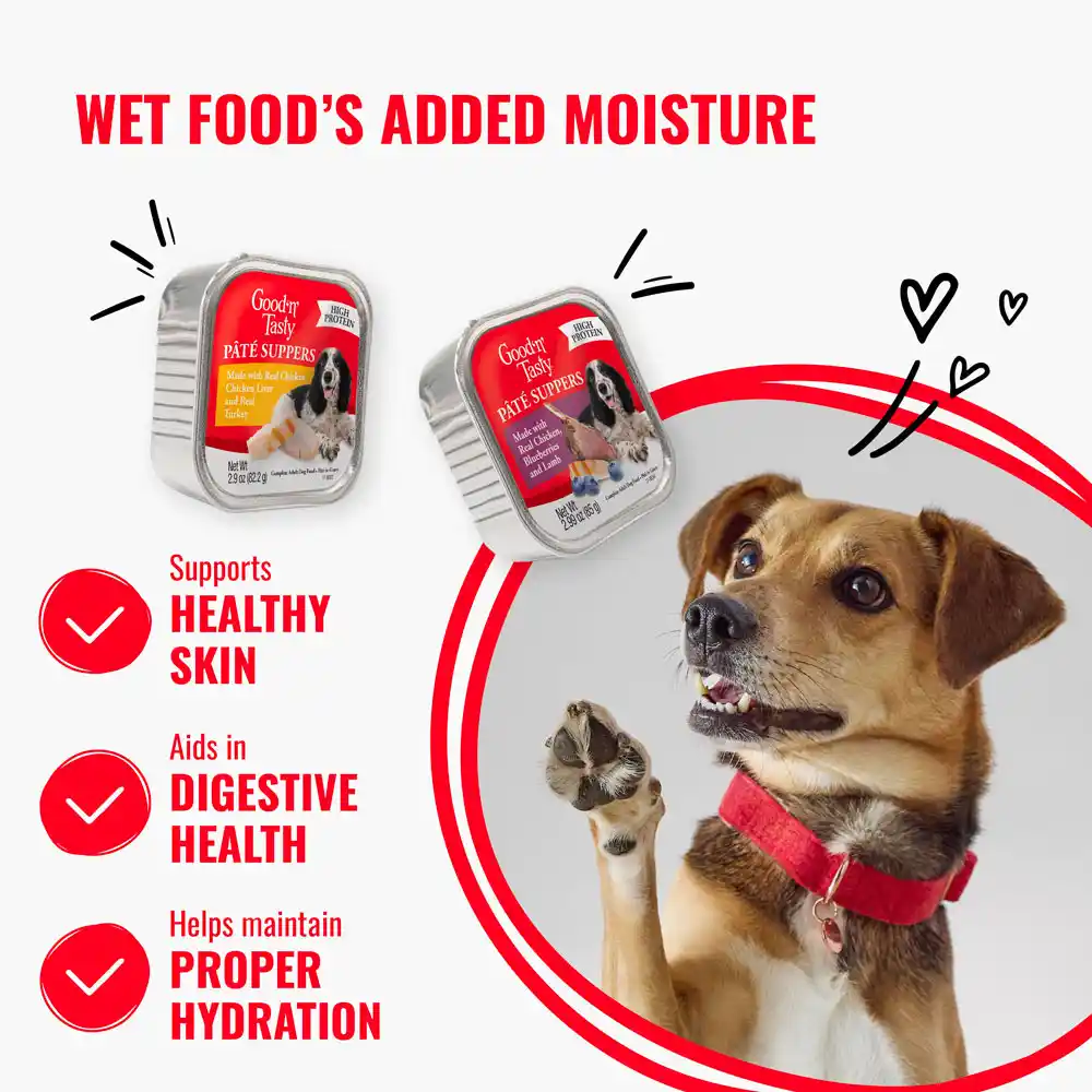 Wet food's added moisture supports healthy skin, aids in digestive health and helps maintain proper hydration. 