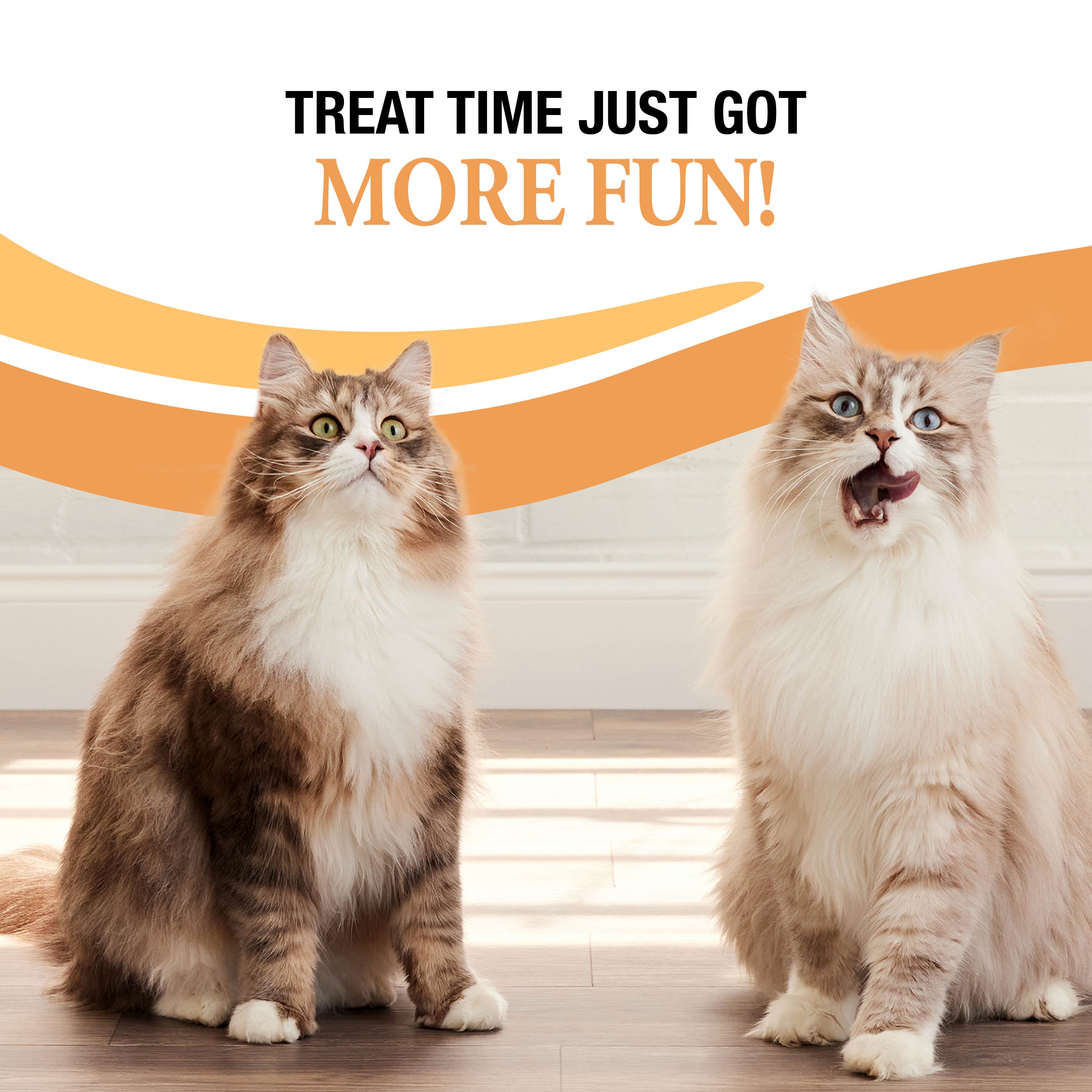 Treat Time Got More Fun