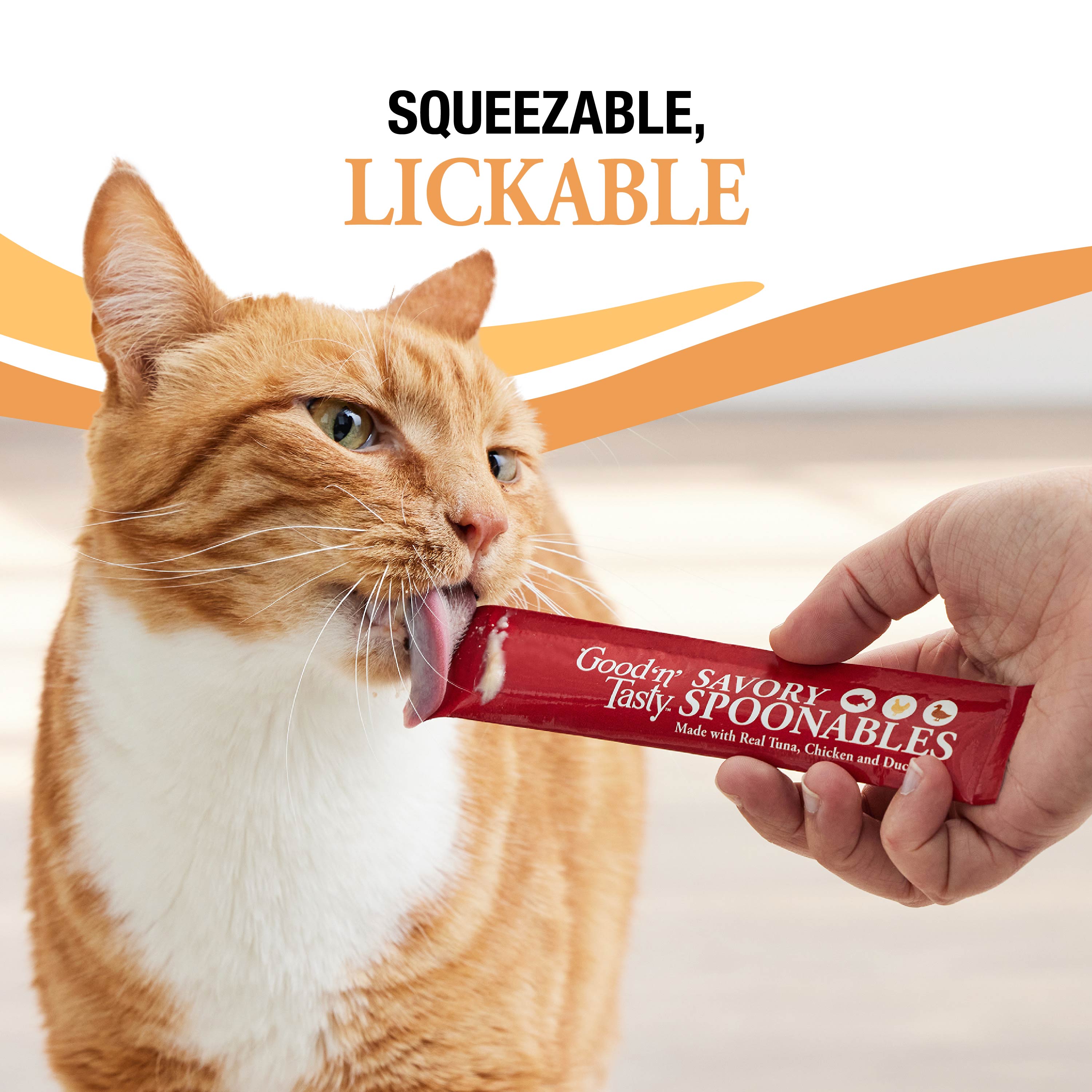Squeezable and Lickable Treat