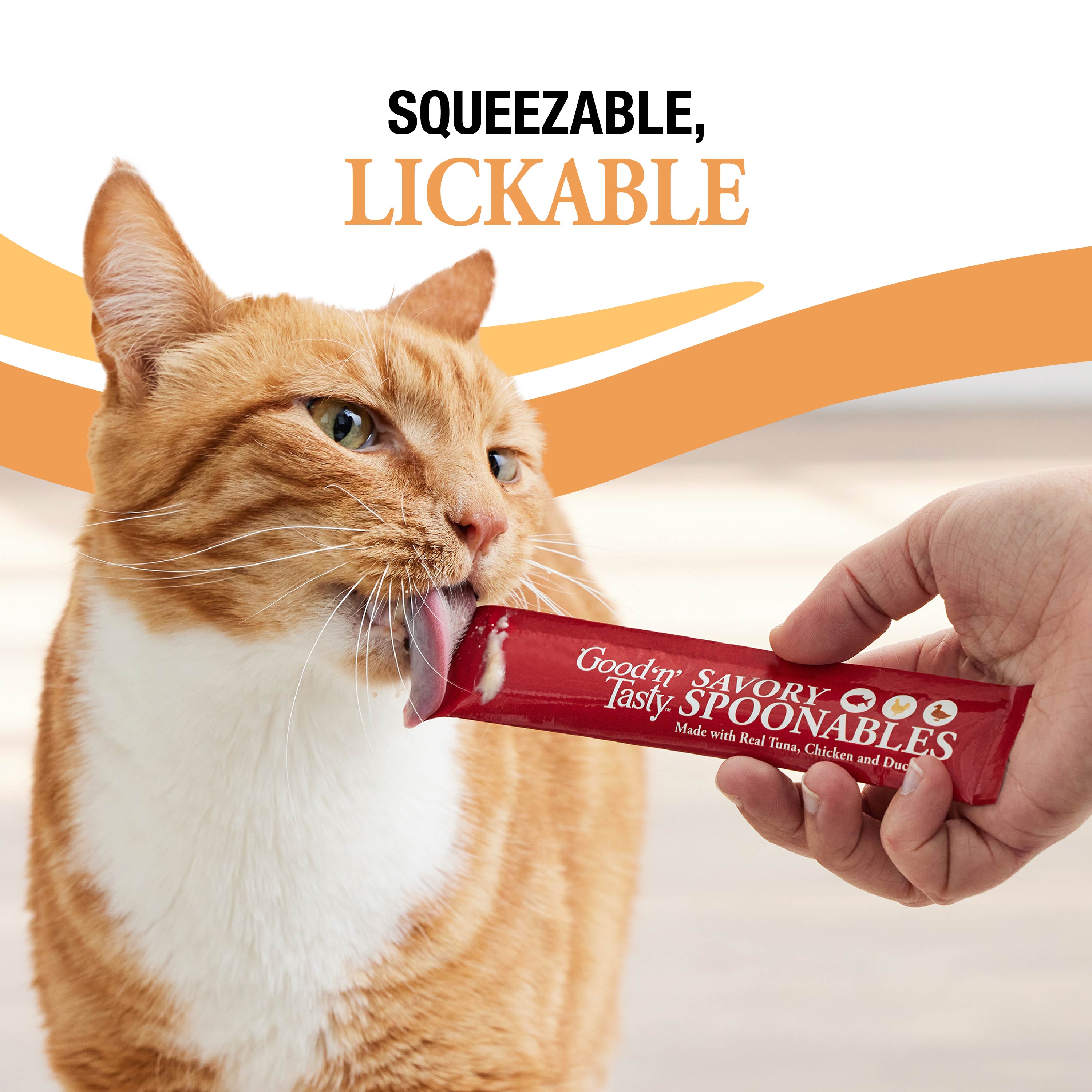 Squeezable and Lickable Treat
