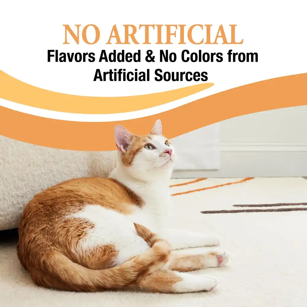 No arfiticial flavors added and no colors from artificial sources