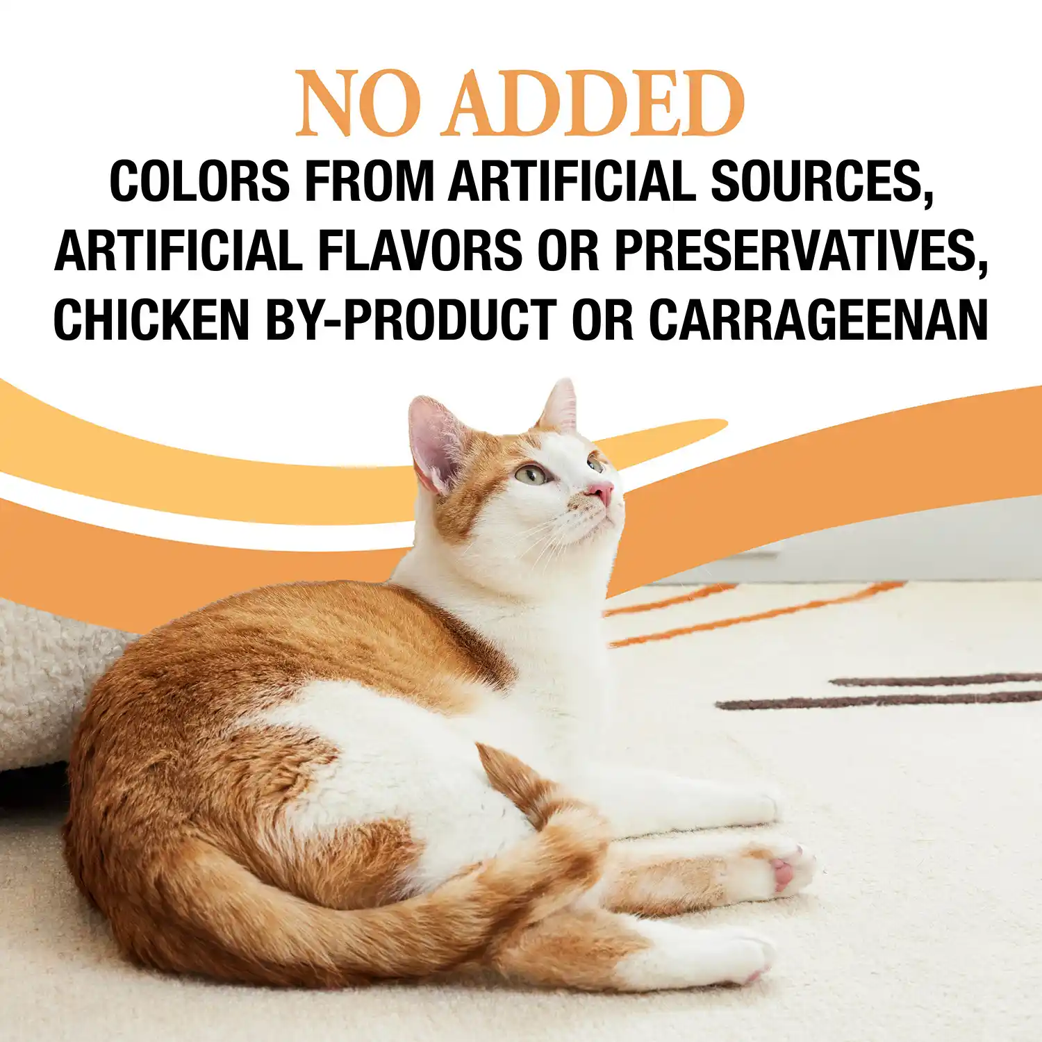 No Added colors from artificial sources, artificial flavors or preservatives, chicken by-product or carrageenan.