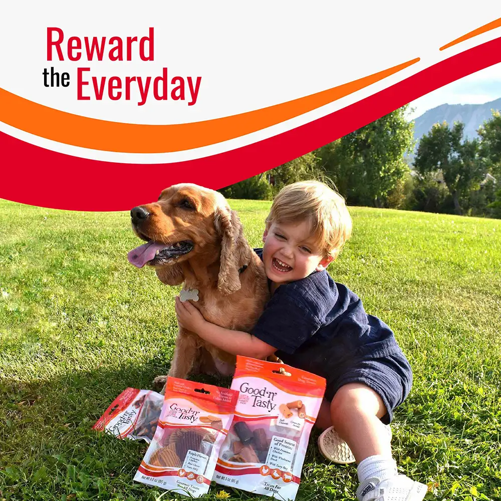 reward the every day