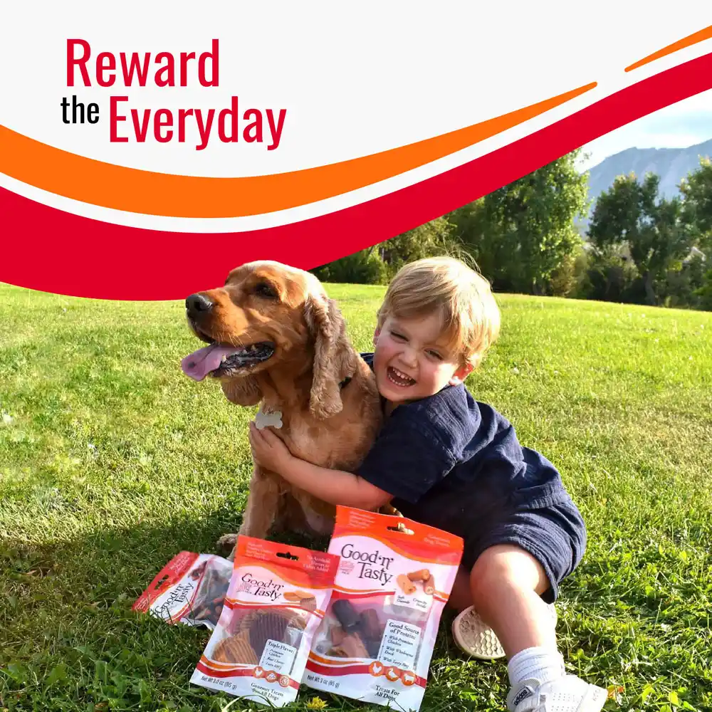 Reward the Everyday
