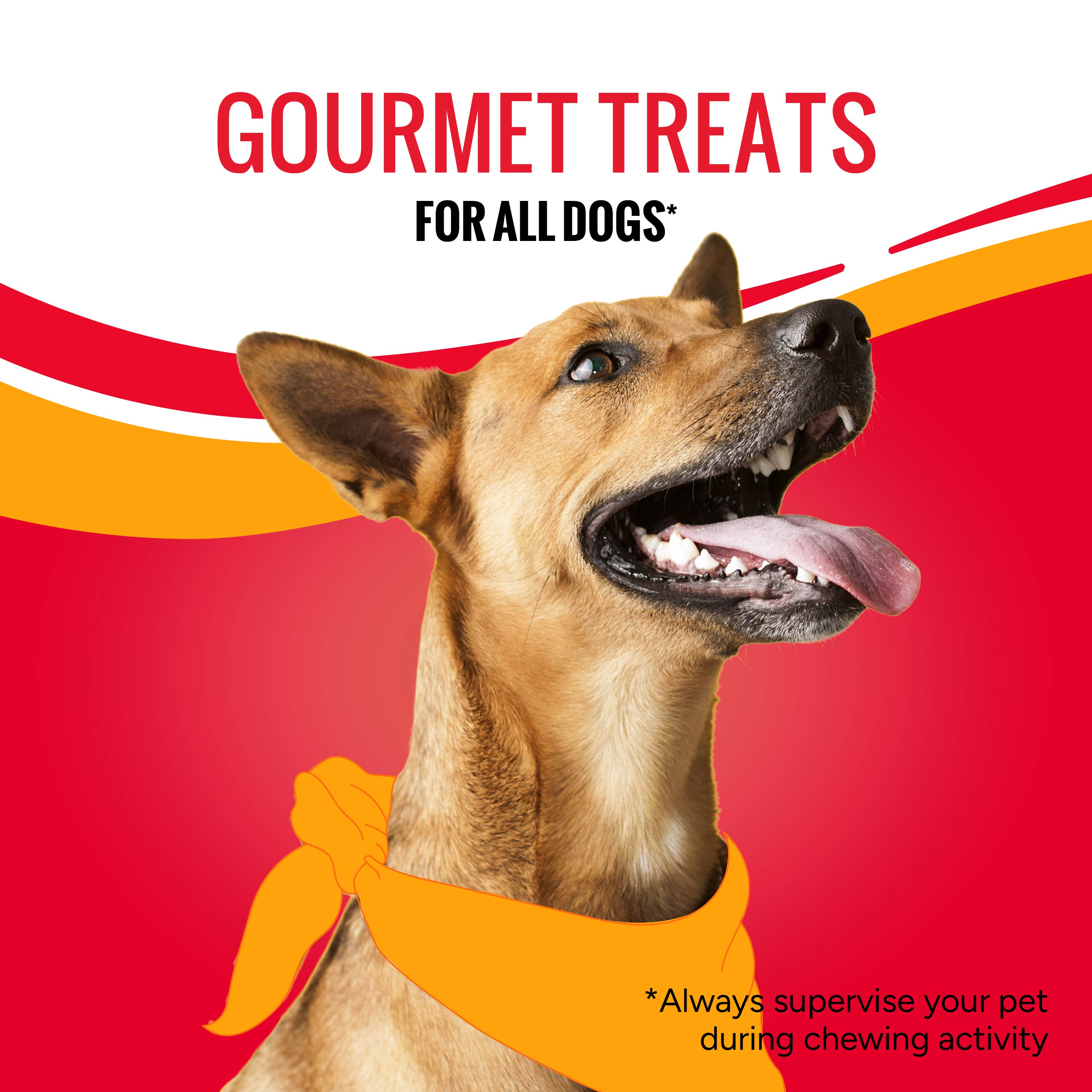Gourmet Dog Treats